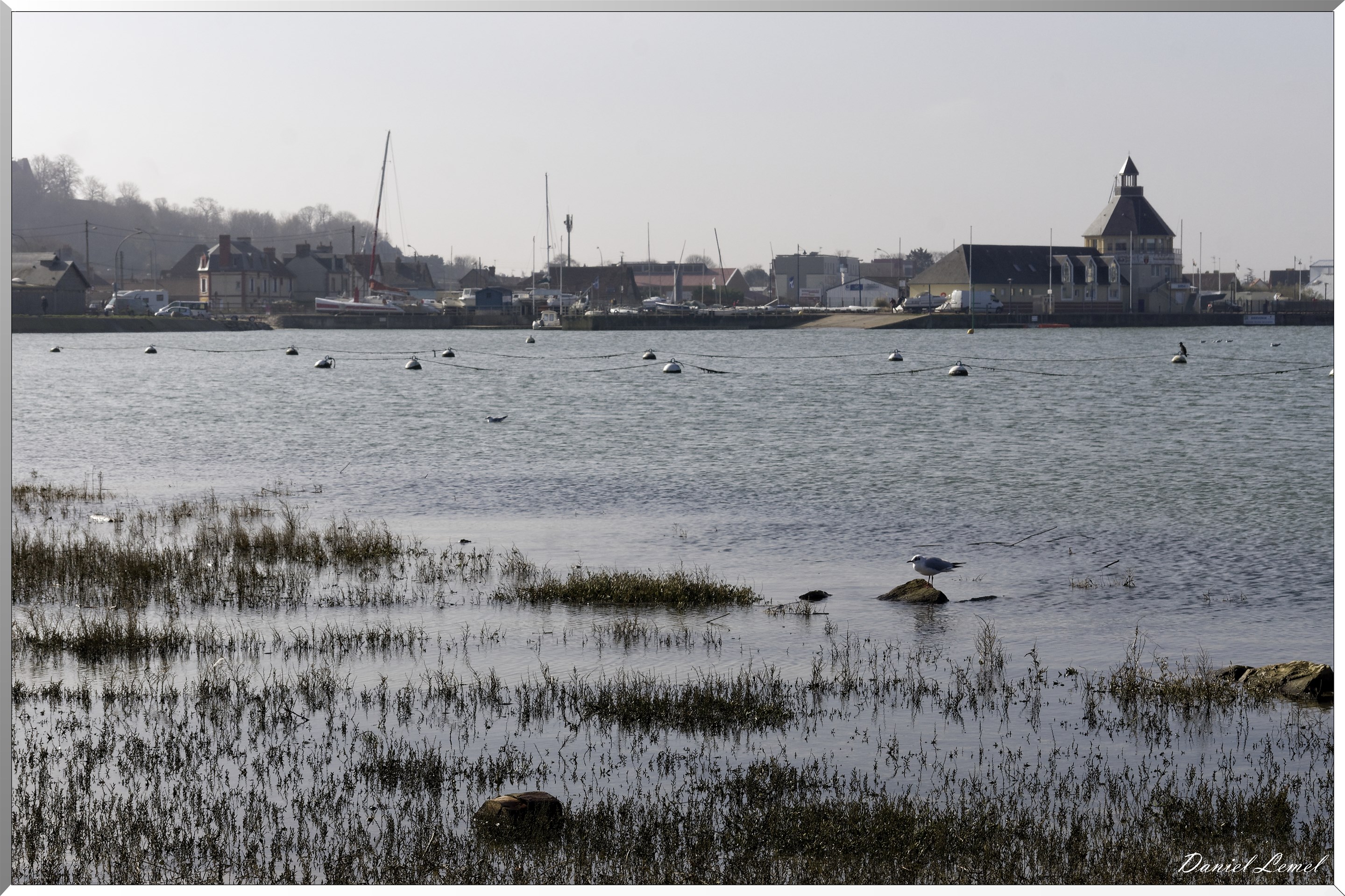  DSC0023 DxOW