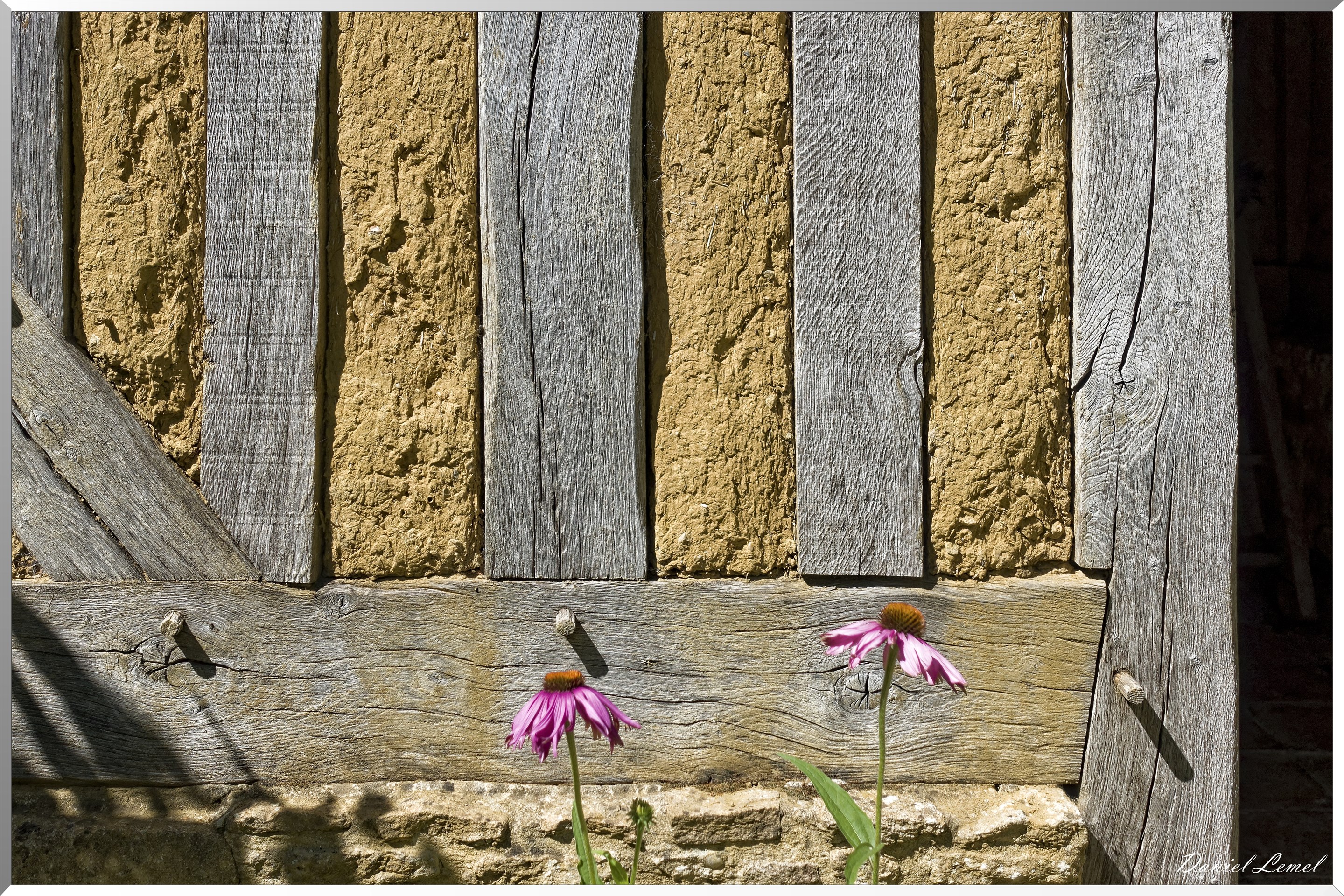 Jardins du Pays d'Auge