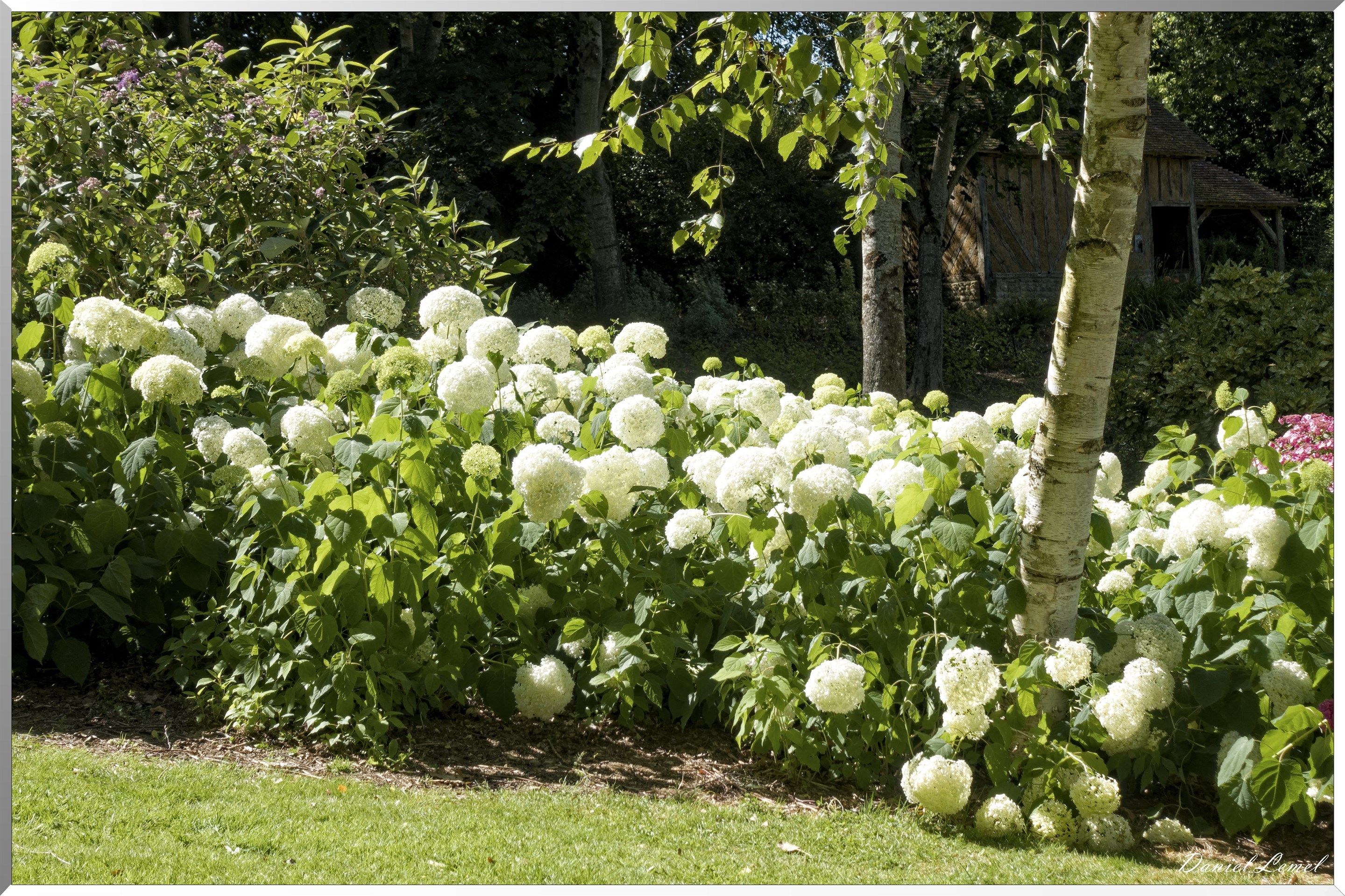 Jardins du Pays d'Auge