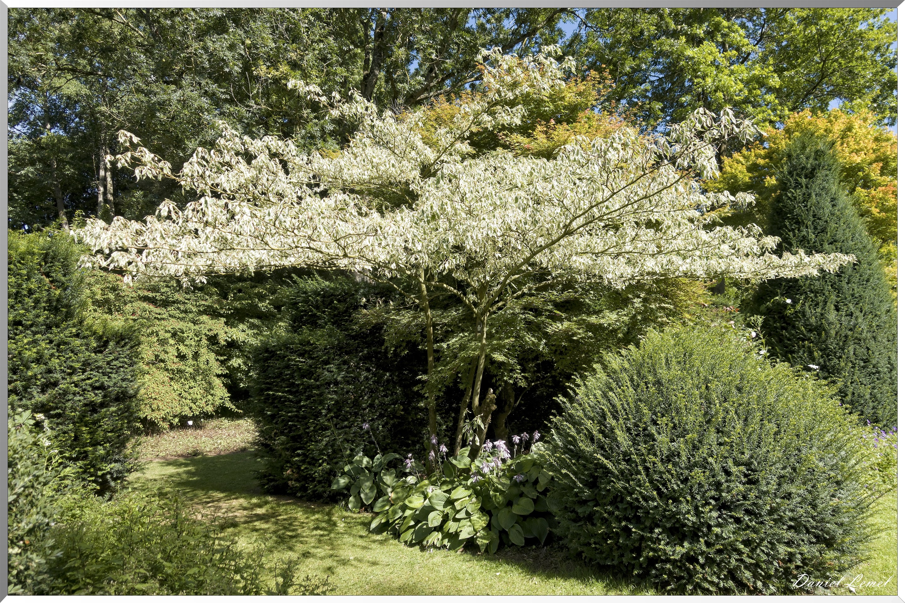 Jardins du Pays d'Auge