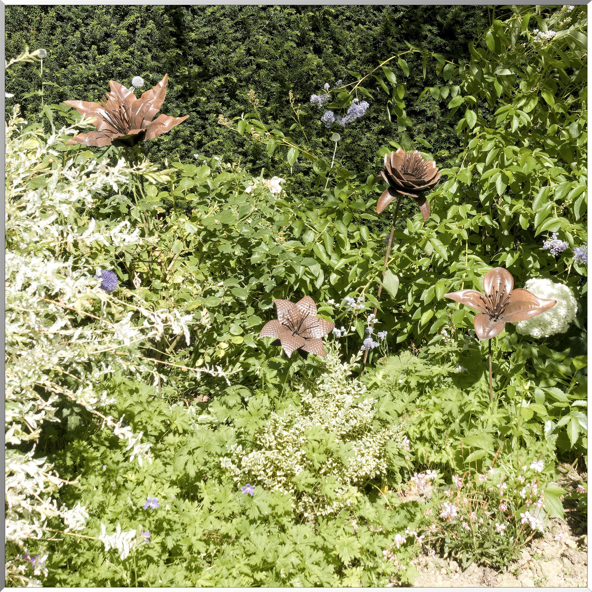 Jardins du Pays d'Auge