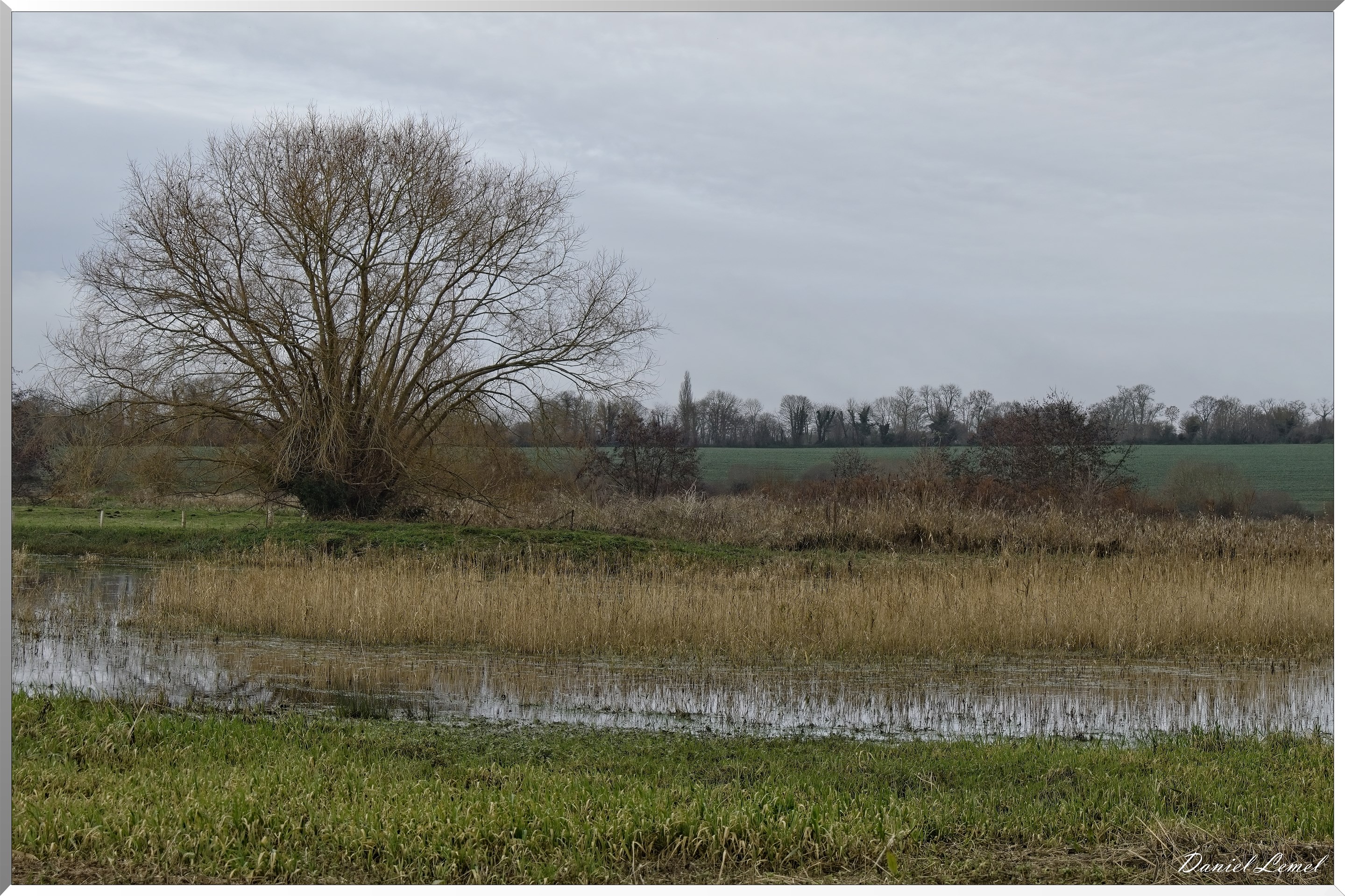 Marais de la Touques
