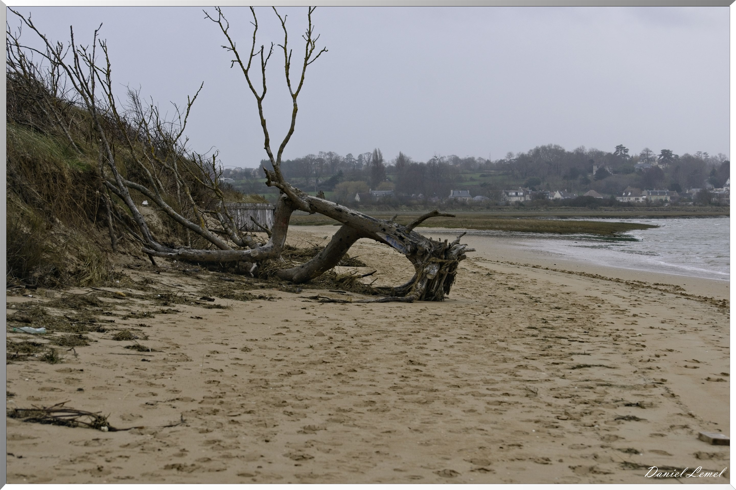  DSC0049W
