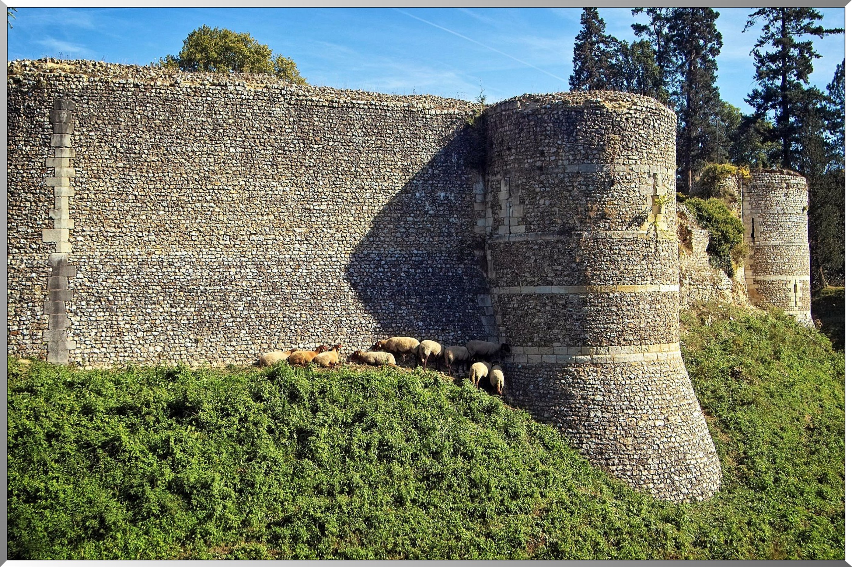 Muraille médiévale du château