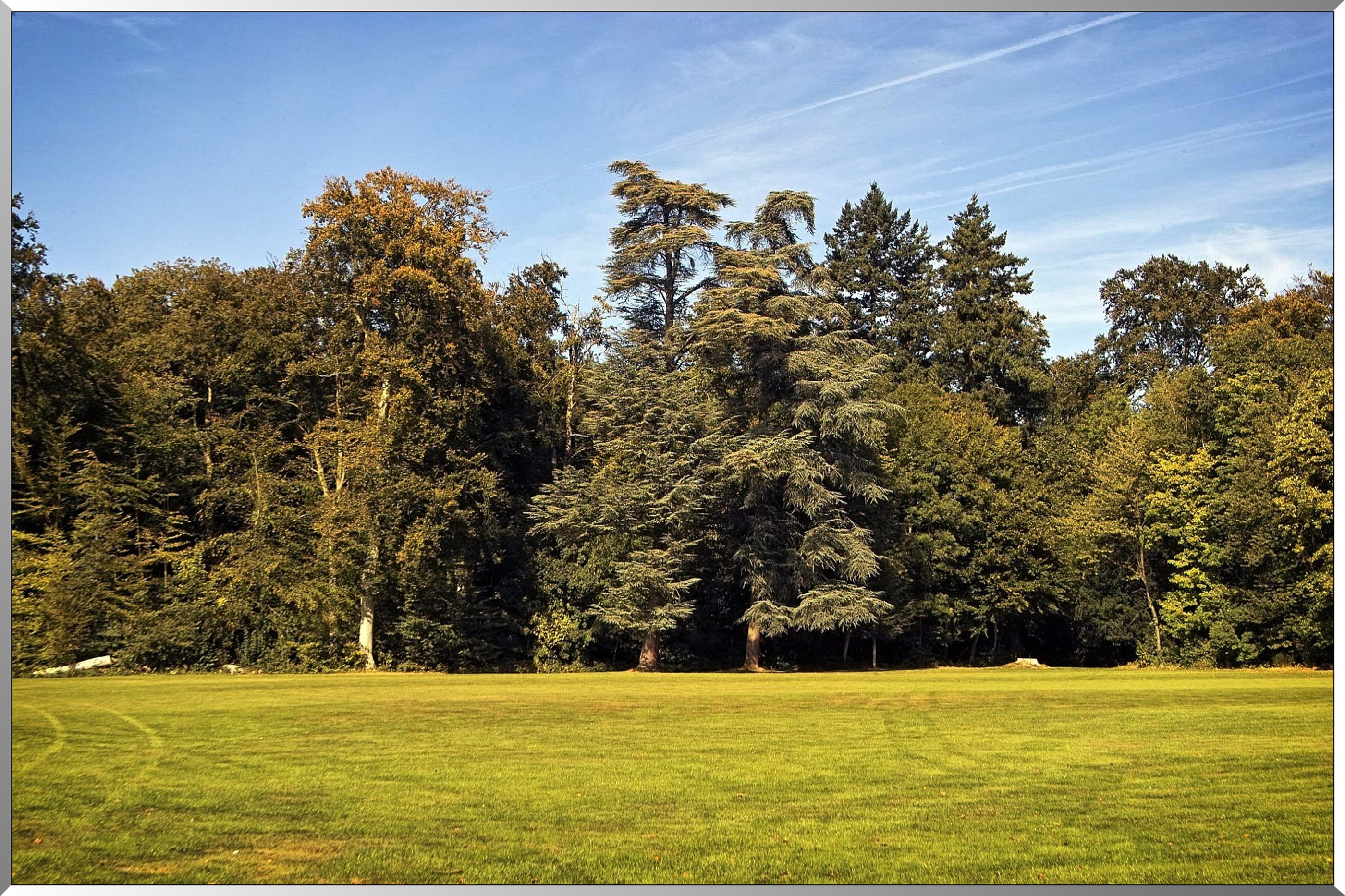 Arborétum