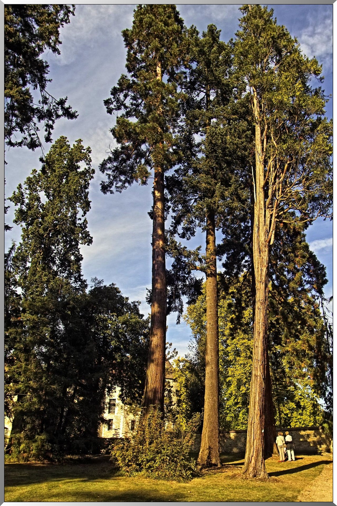 Arborétum