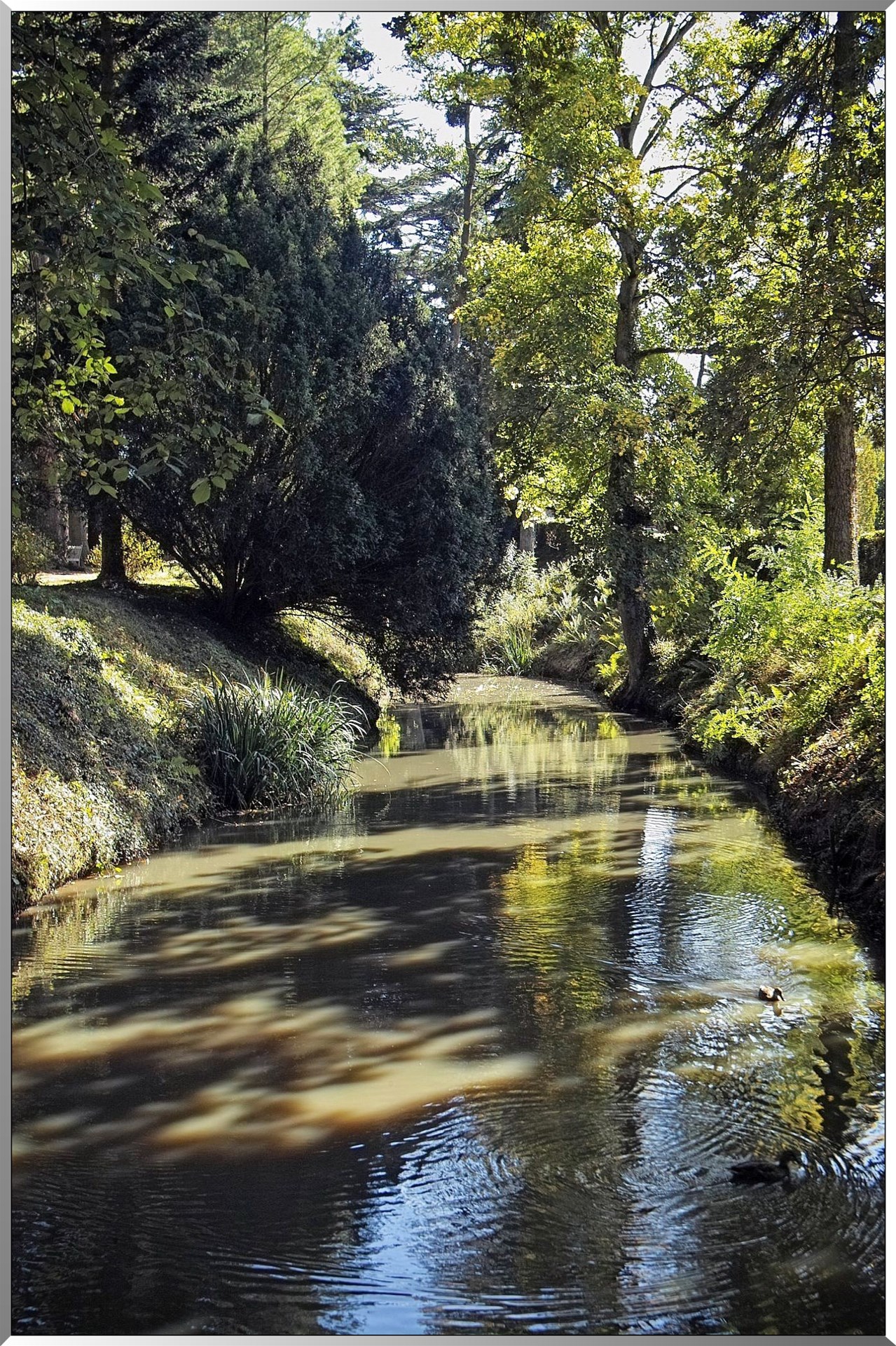 Arborétum