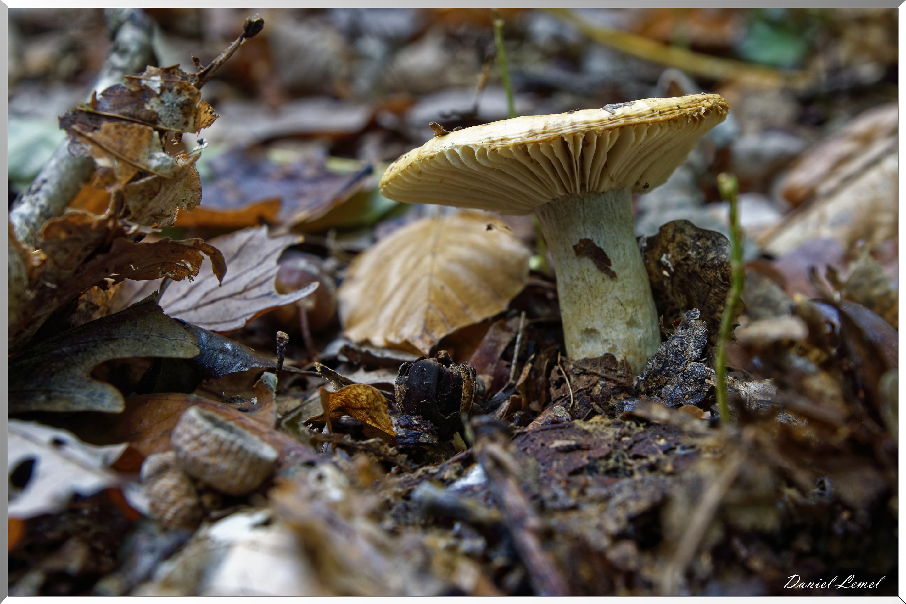  DSC0023 DxOW