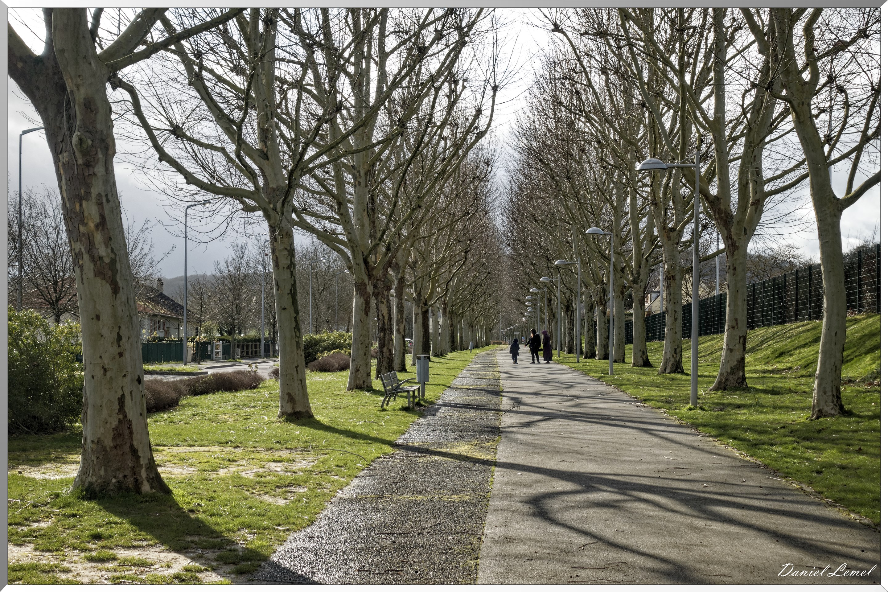 Allée