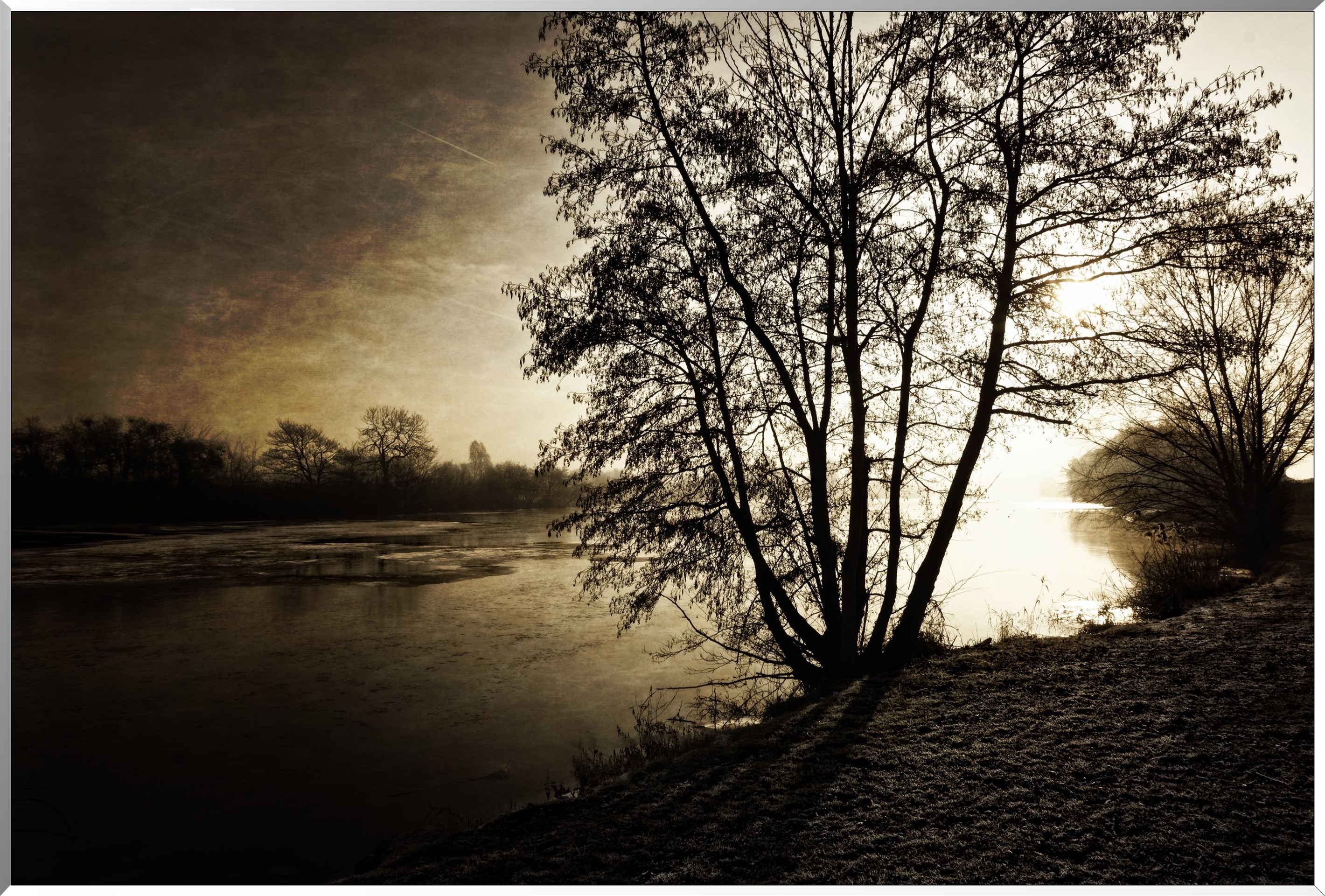 Bord de Seine le matin