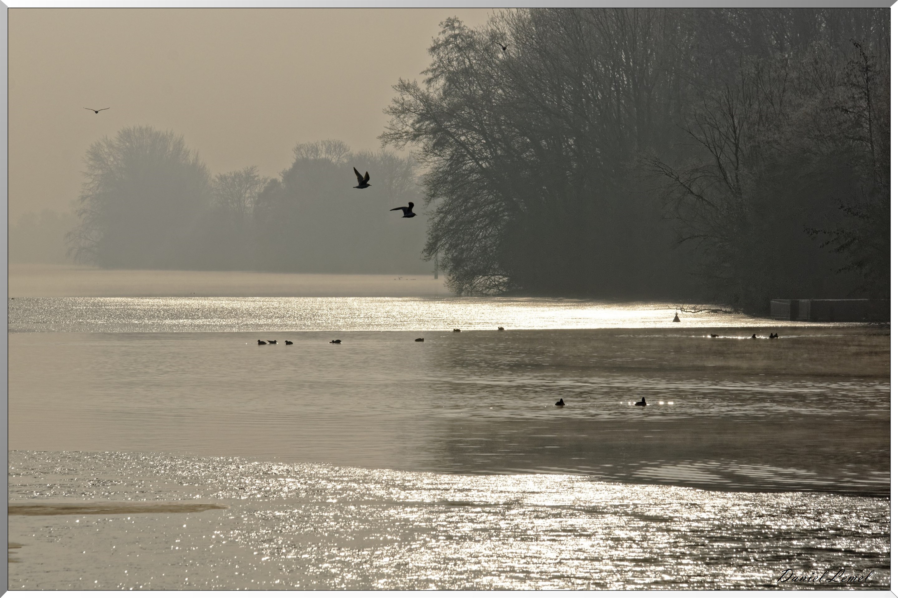 Bord de Seine le matin