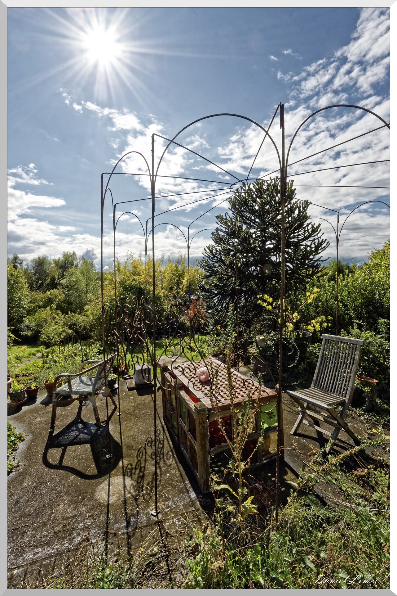 Le jardin