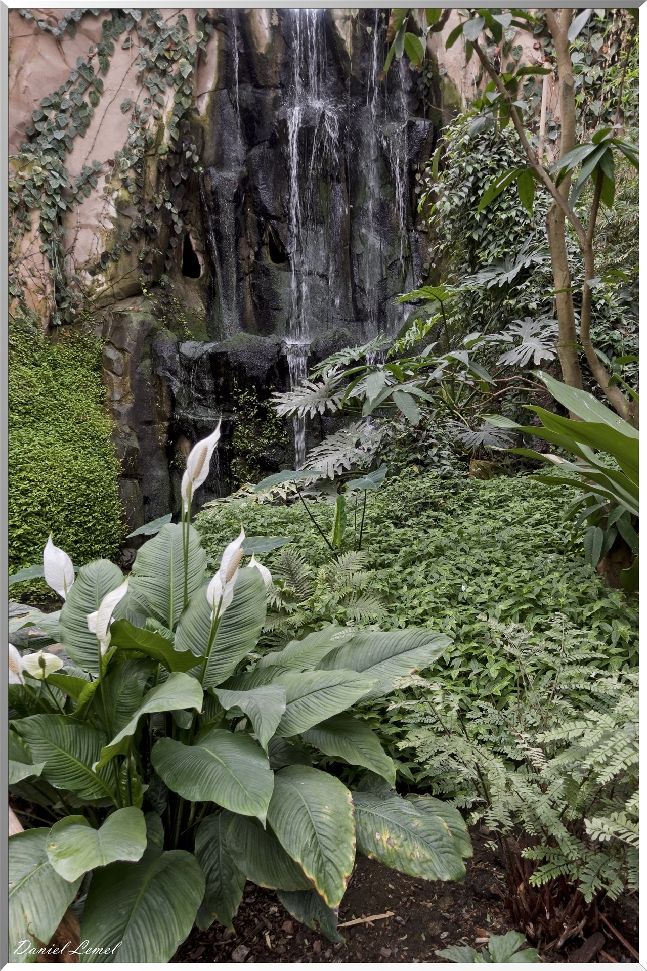 Cascade de la serre