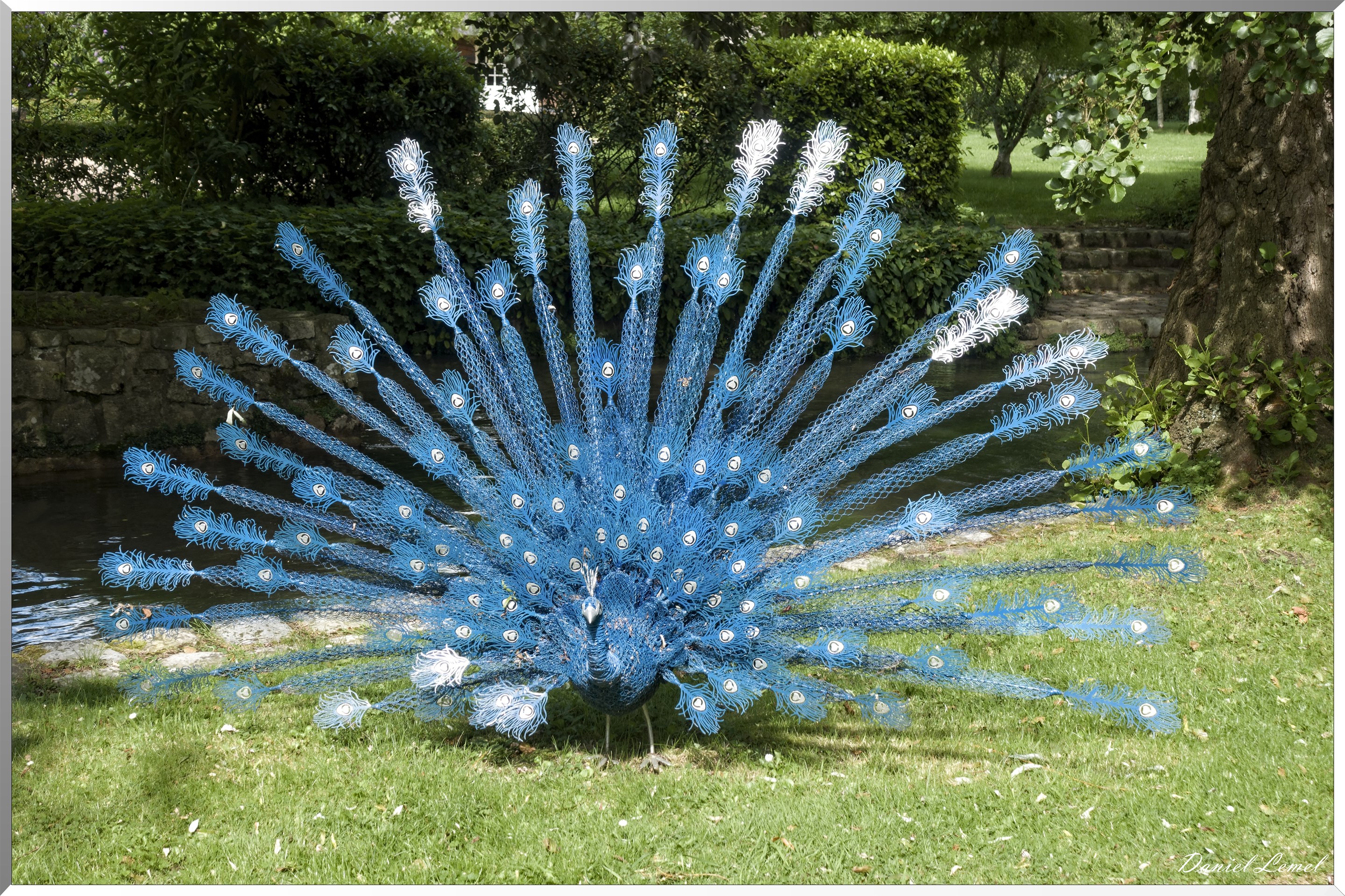 "Léon le paon bleu" - Claude Pasquer - 2018