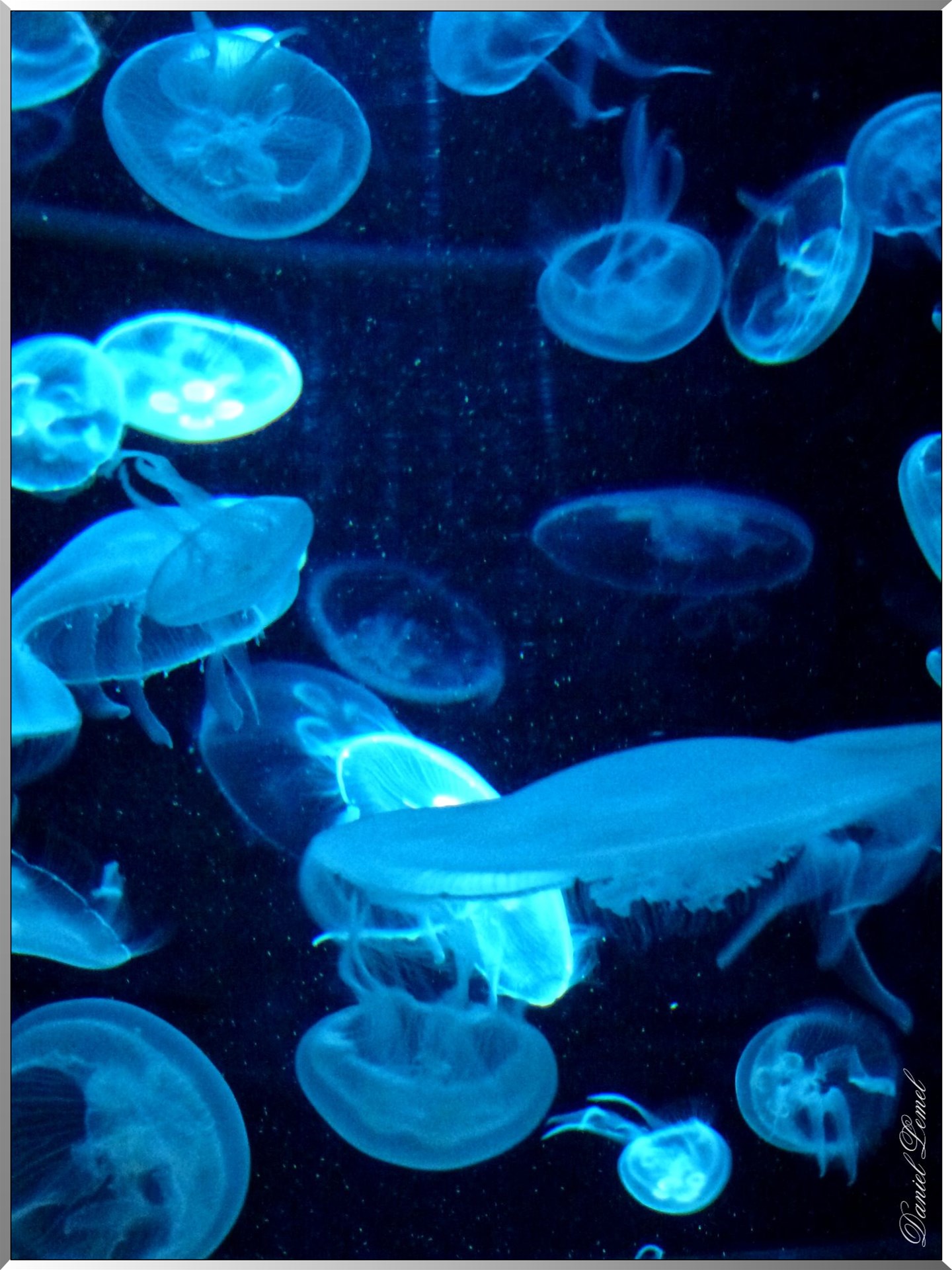 Cite de la mer Meduse