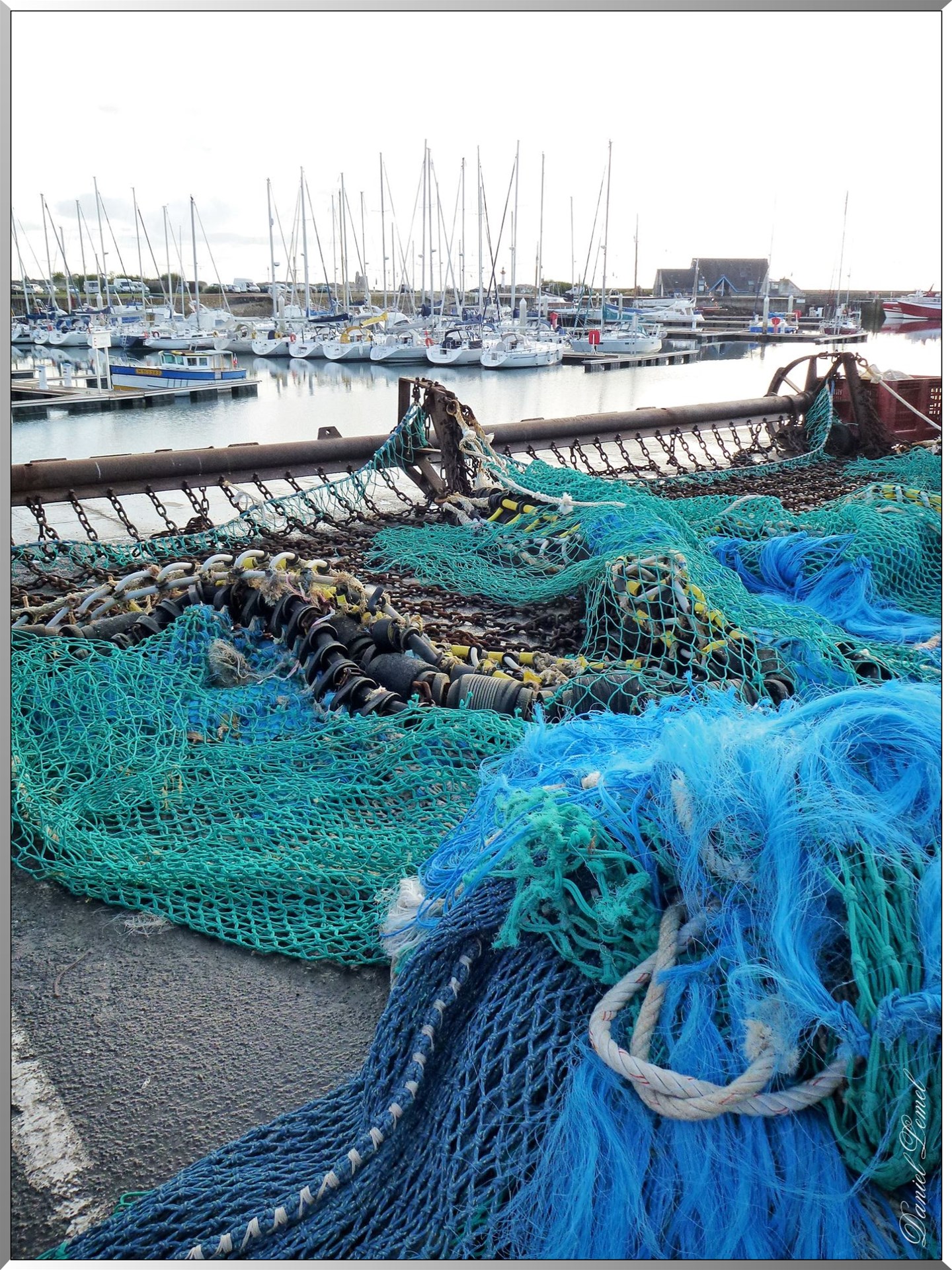 Filets de pêches