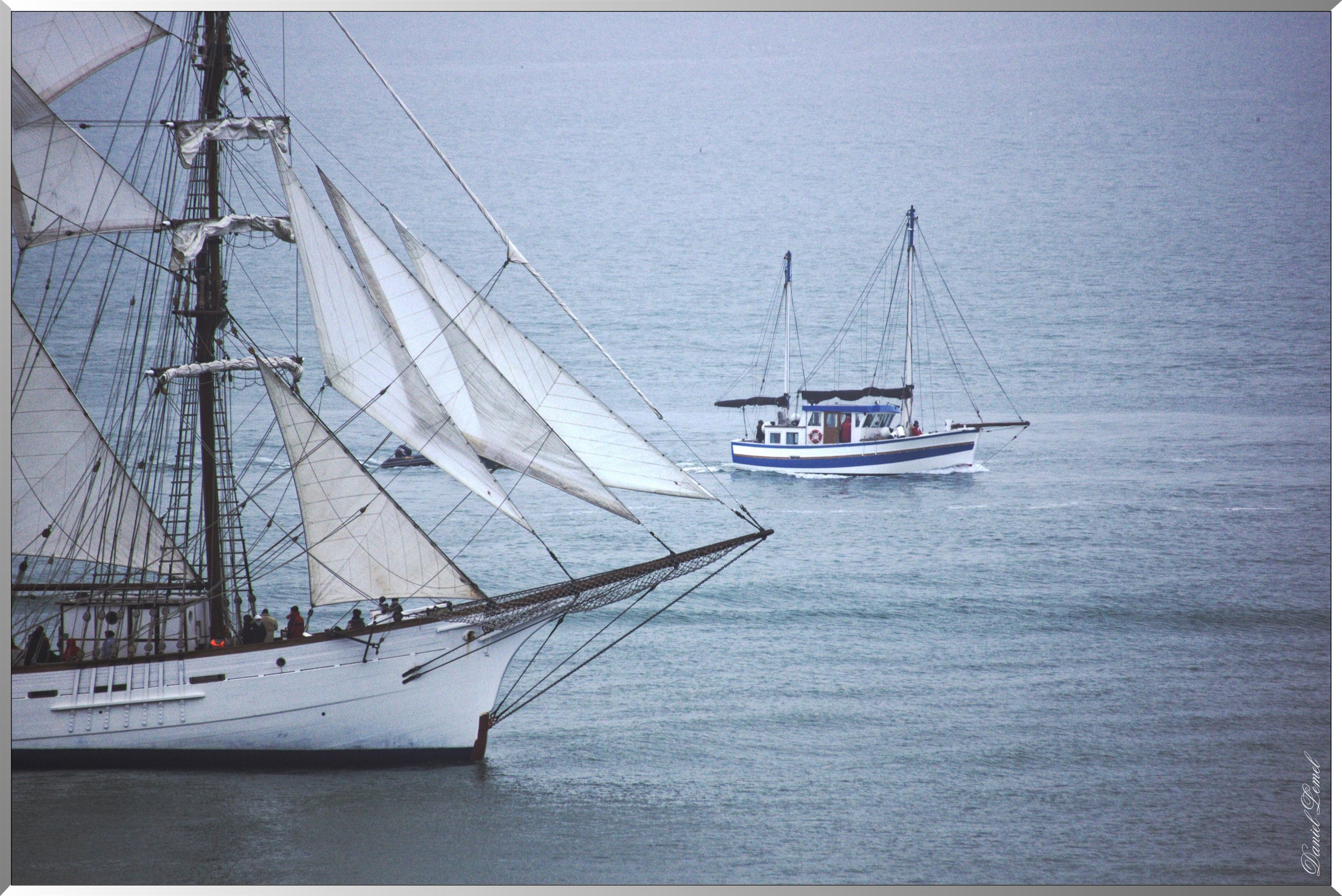 Le Marité