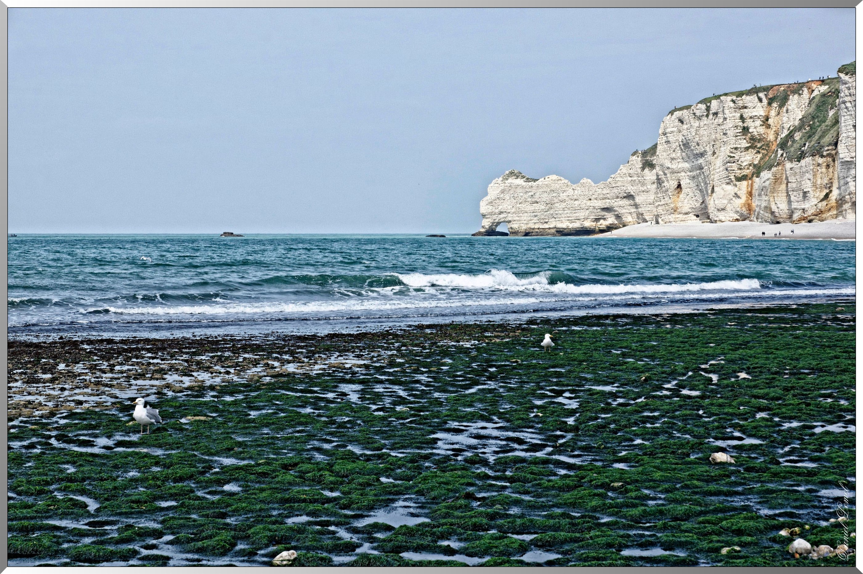 Falaise d' amont