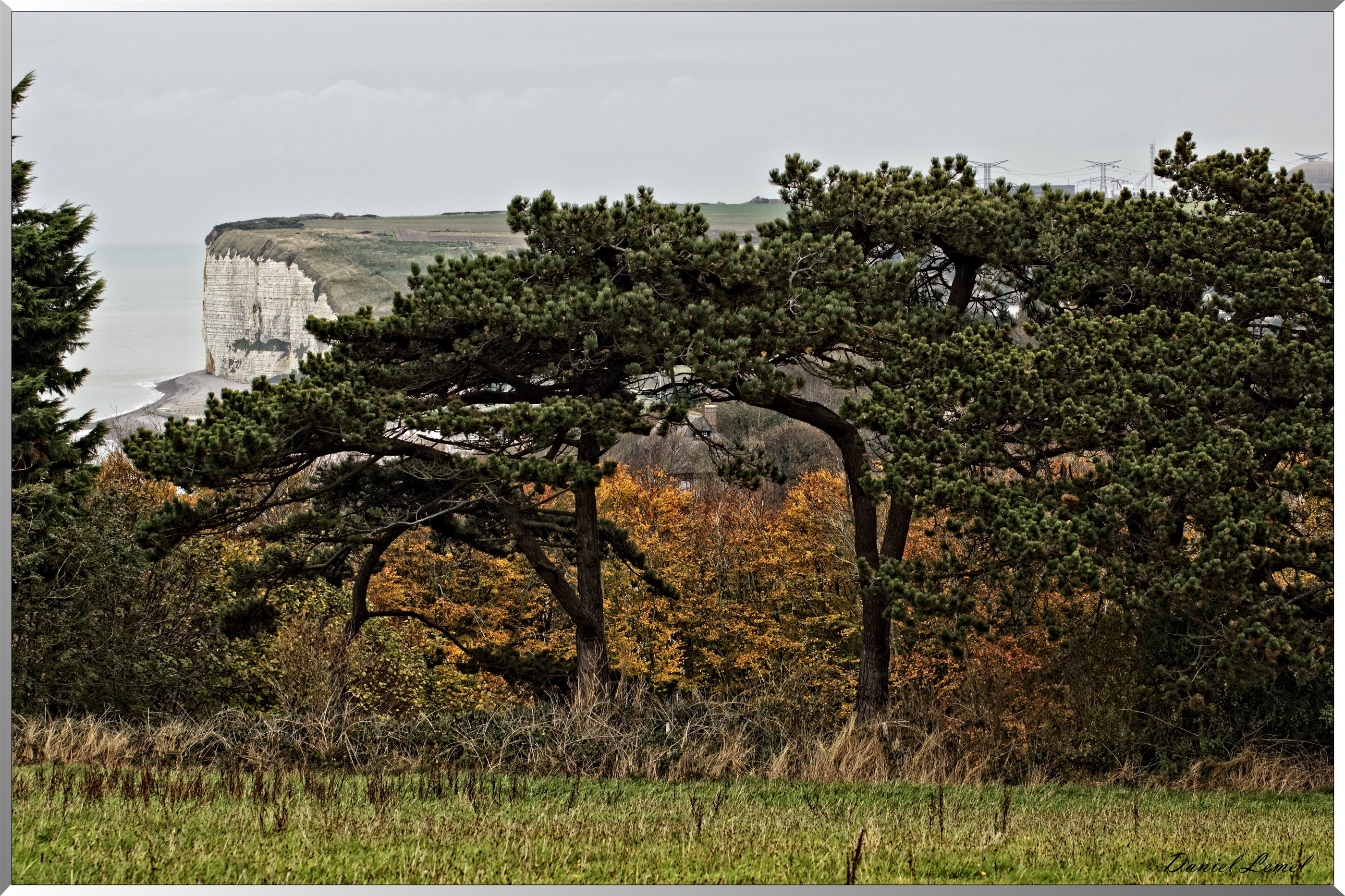 Arbres