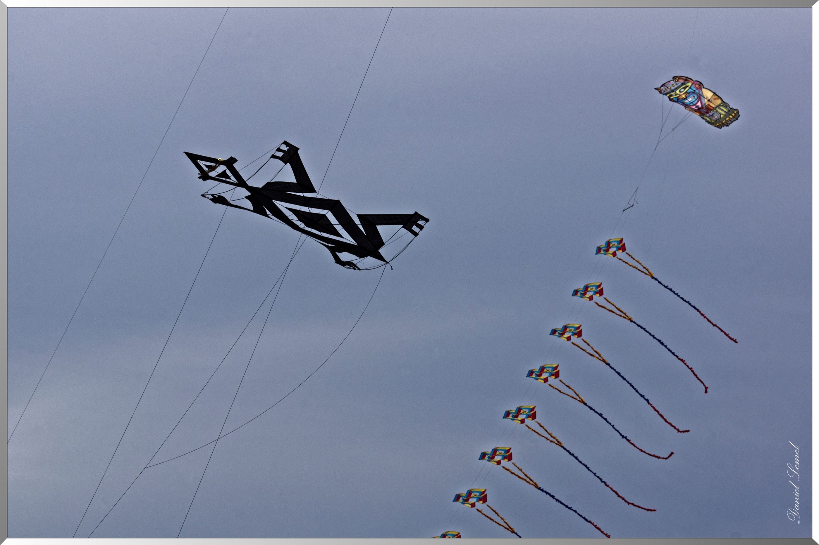 cerfs volants