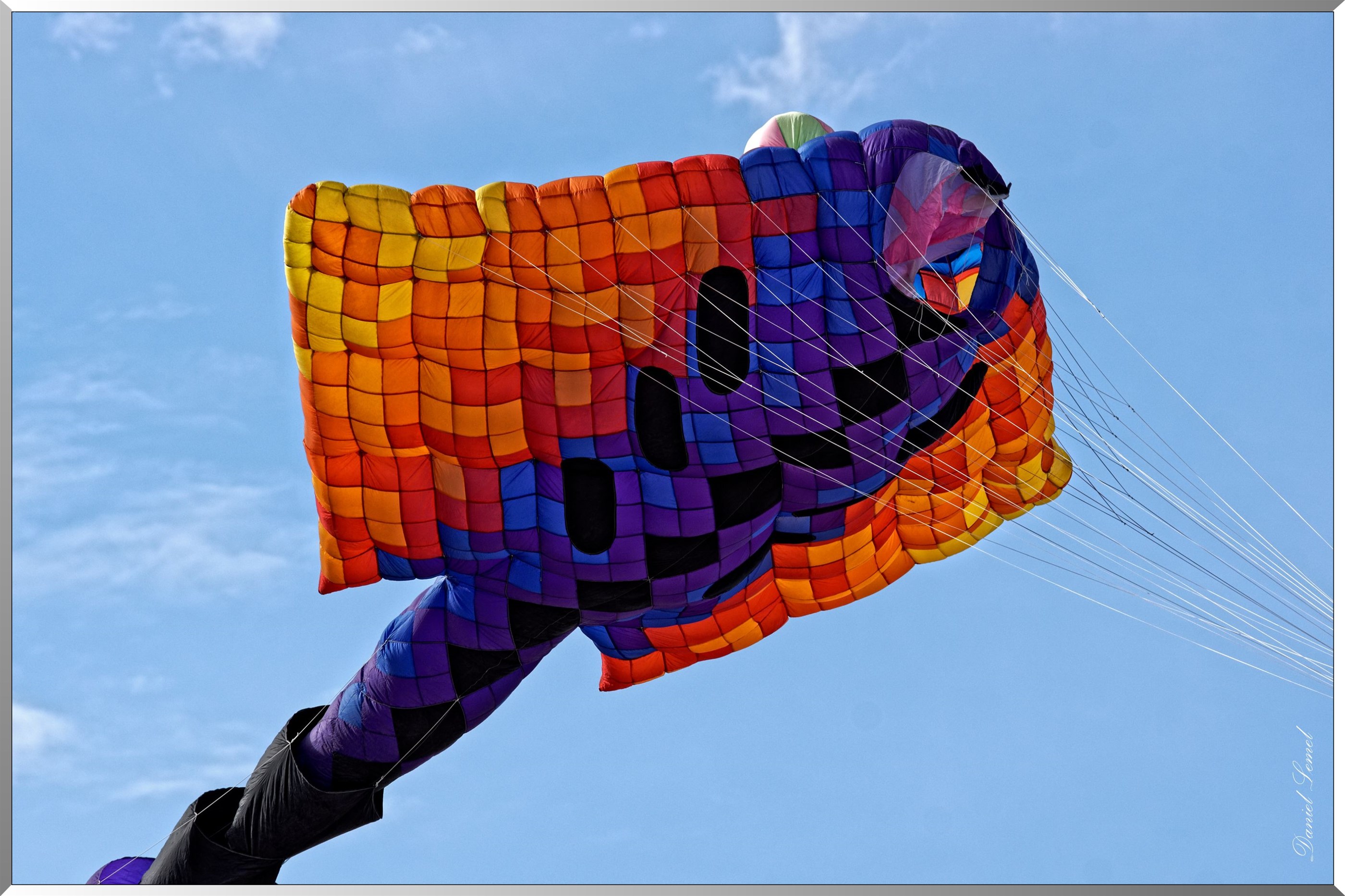 cerf volant