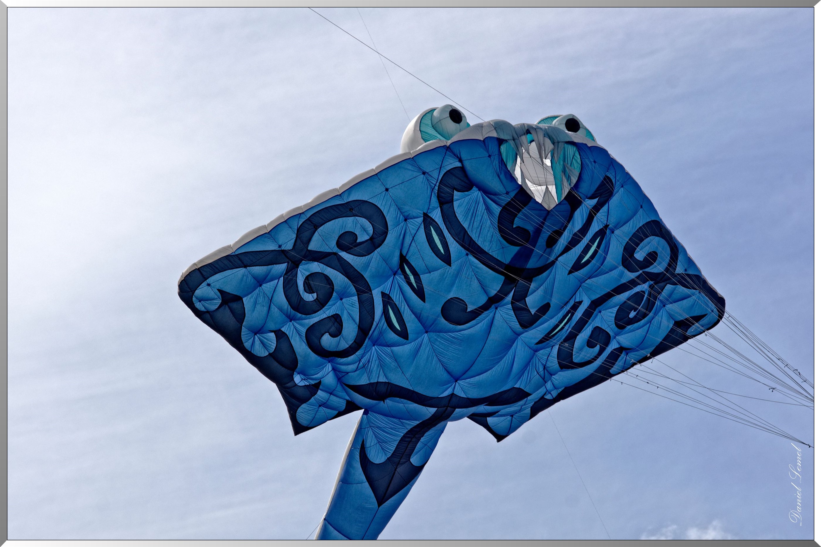 cerf volant