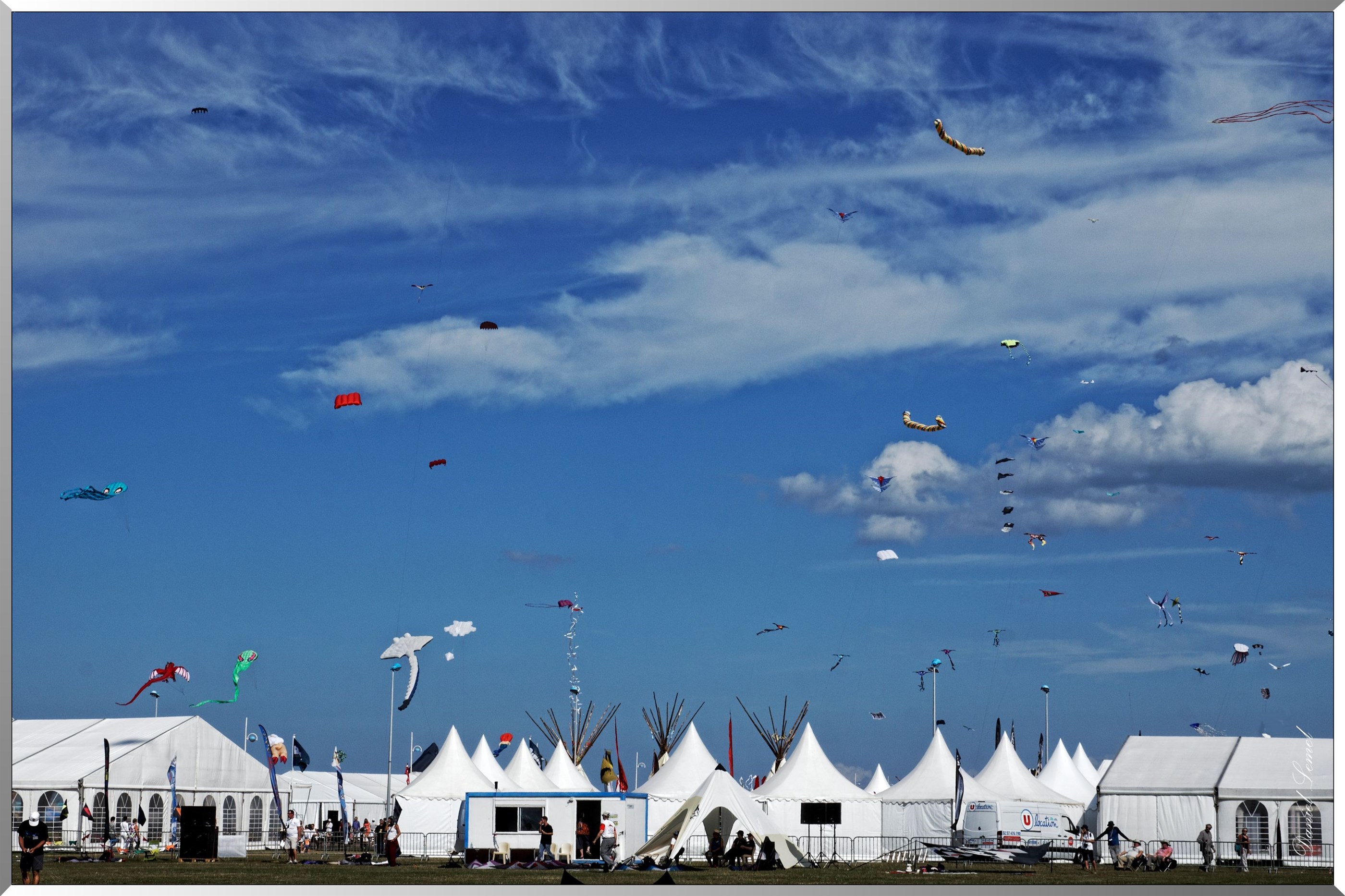 cerfs volants