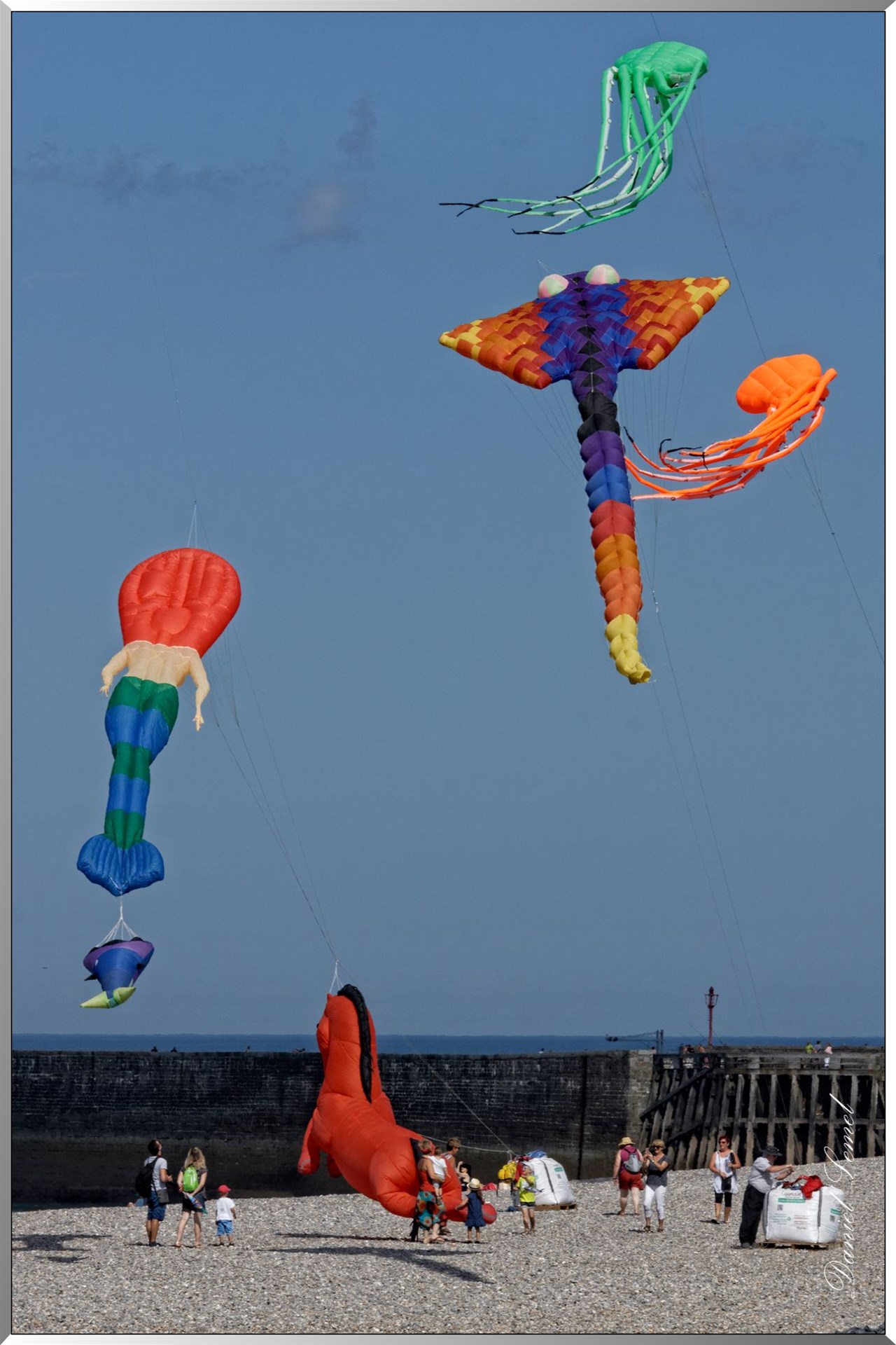 cerfs volants