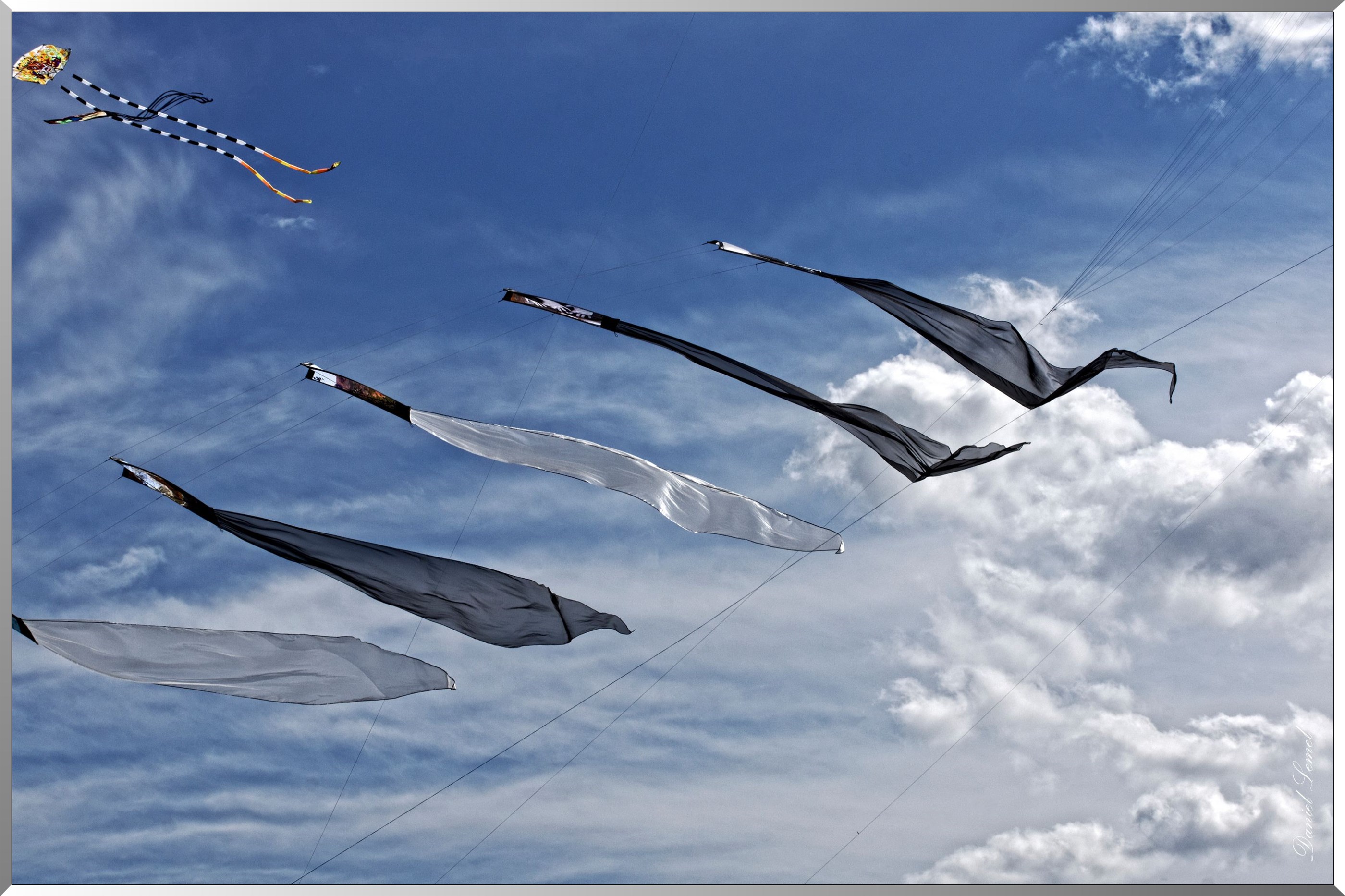 cerfs volants