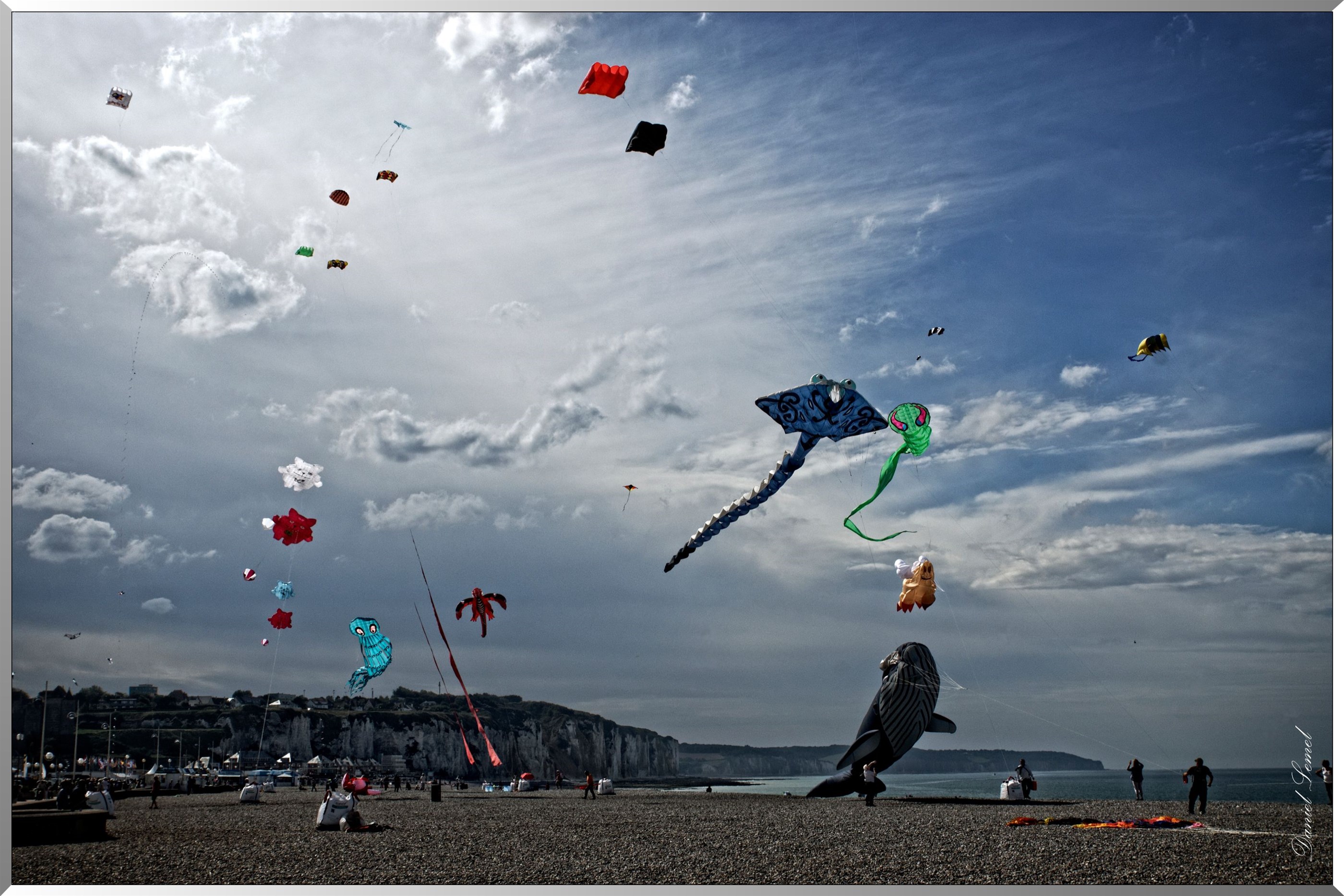 cerfs volants
