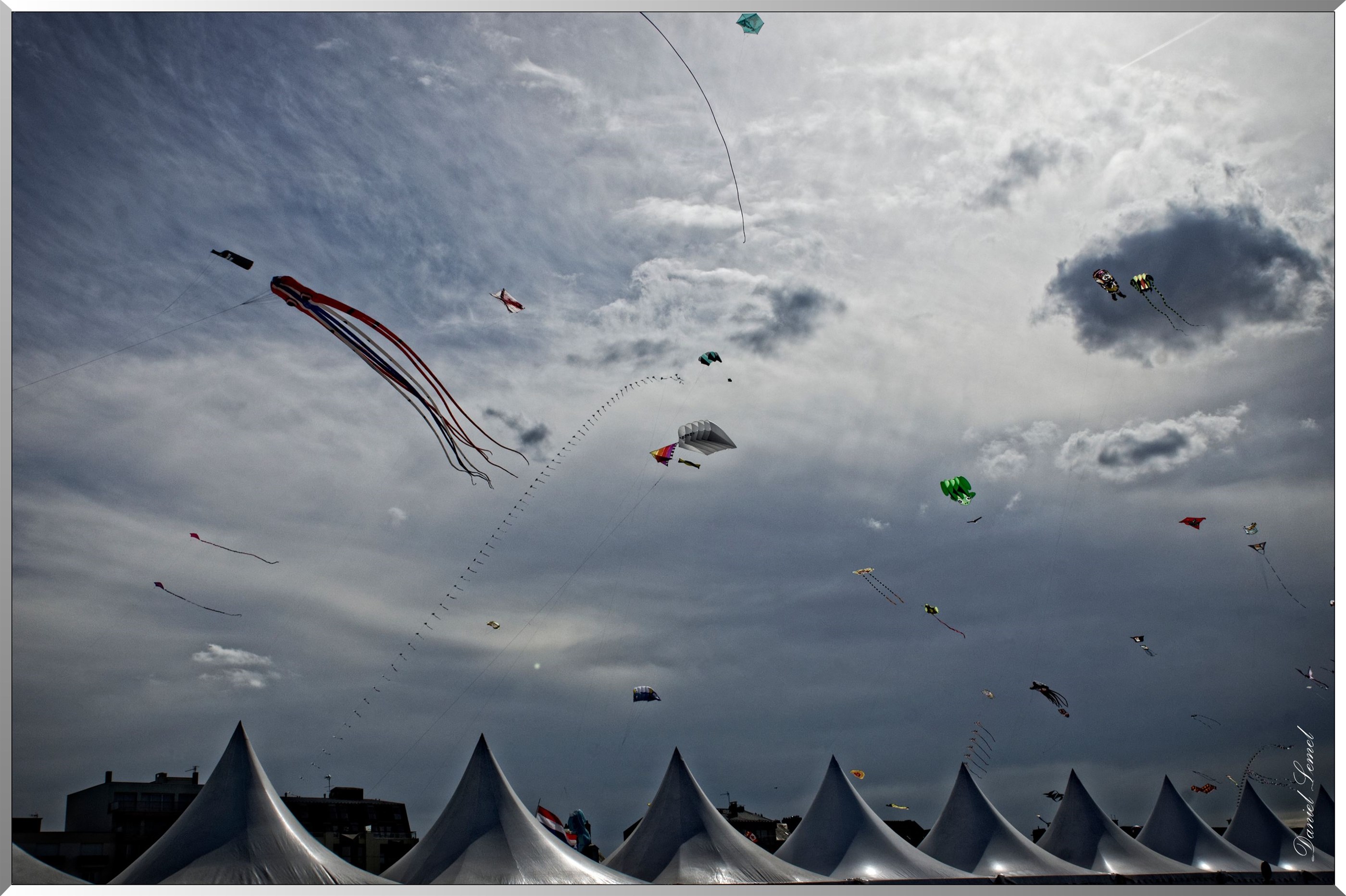 cerfs volants