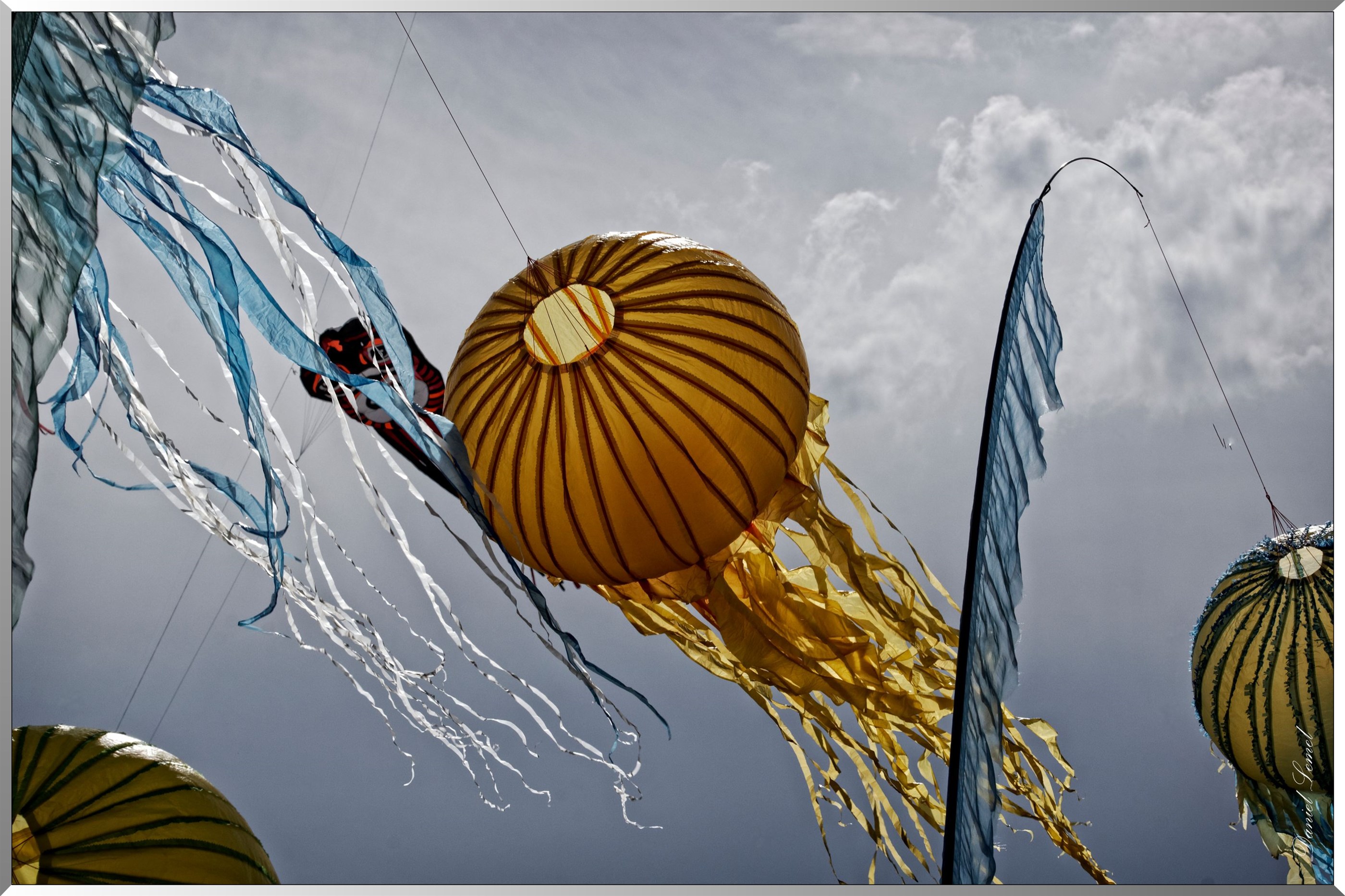 cerfs volants