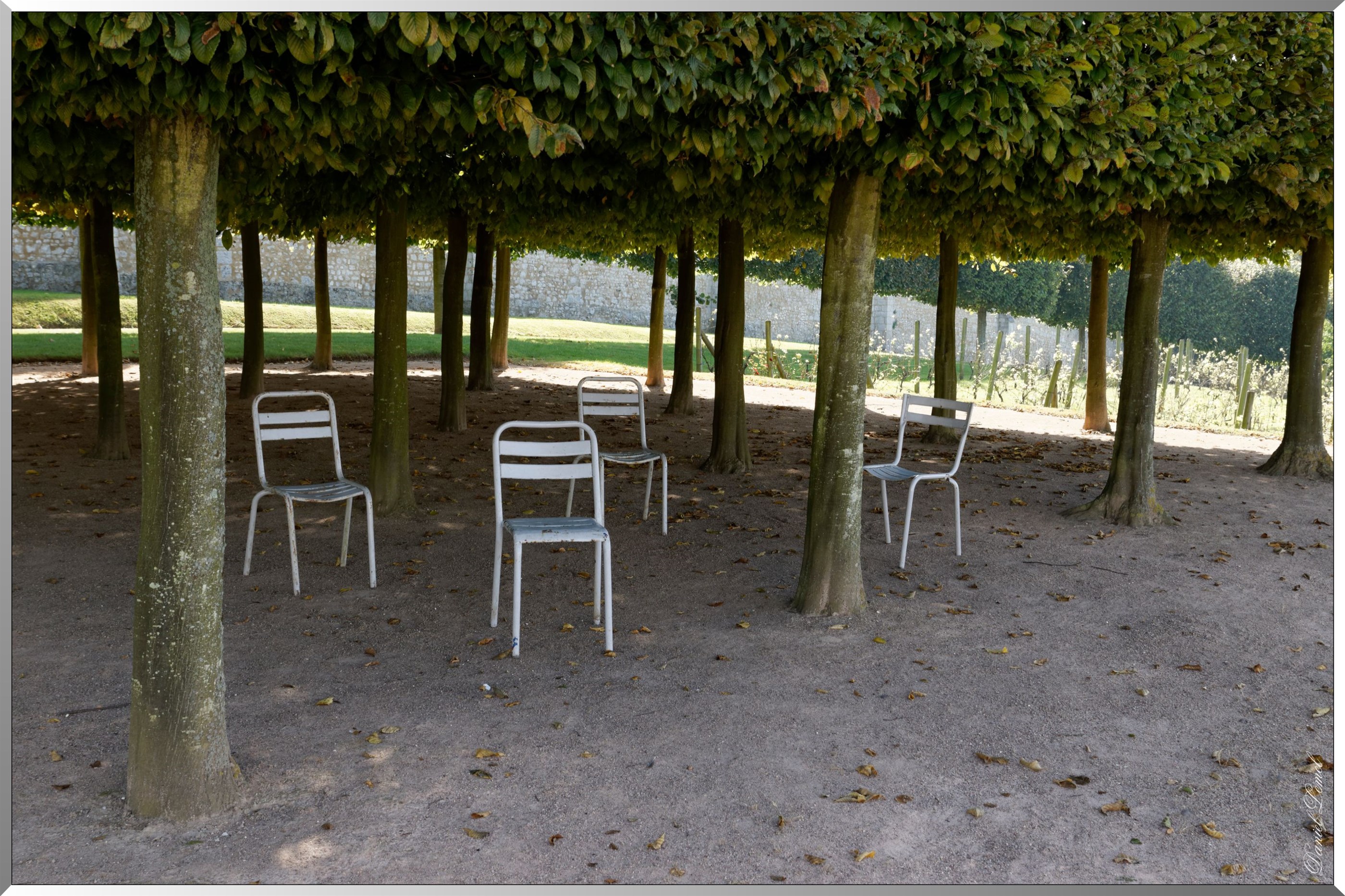 Chaises