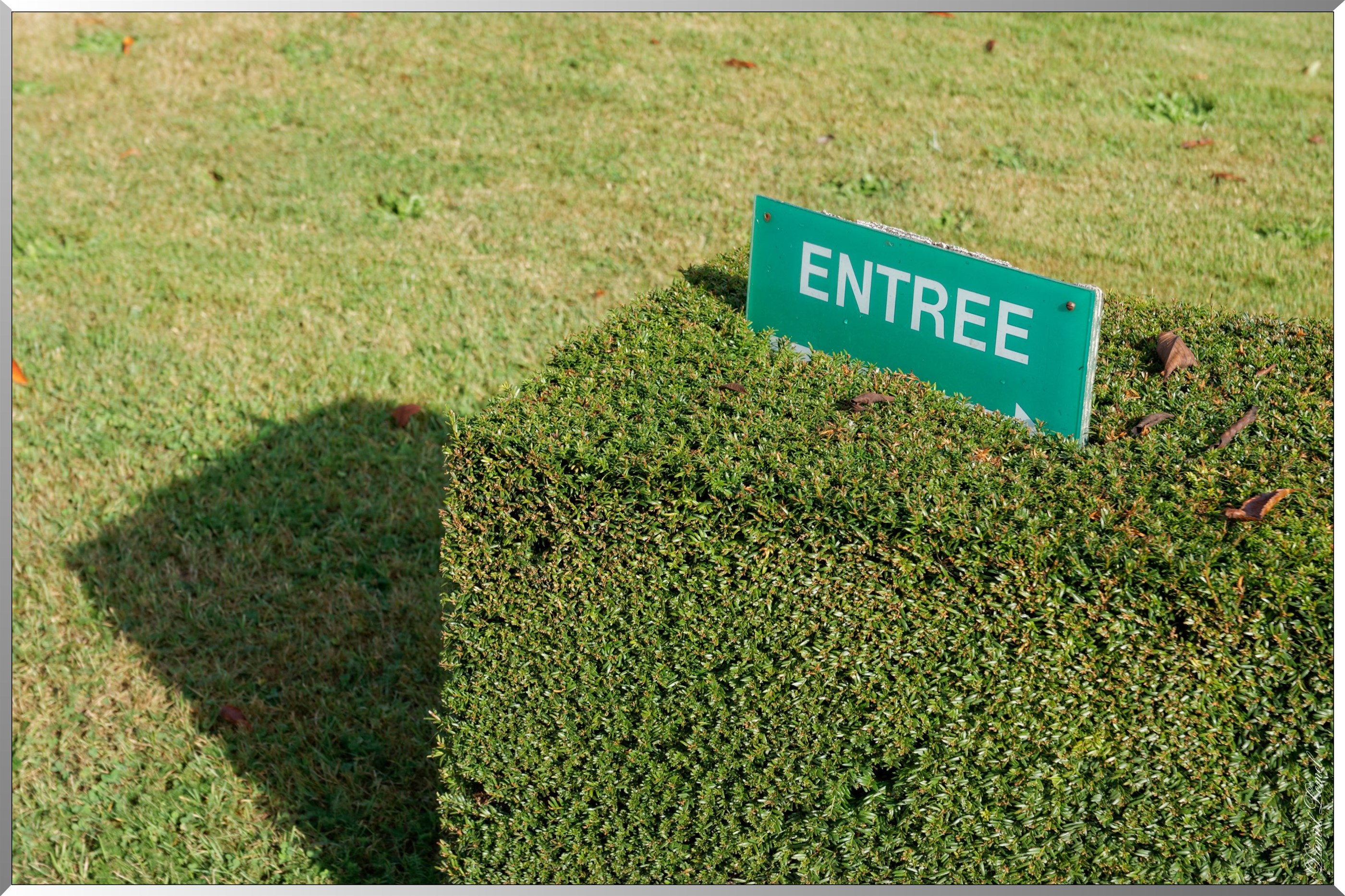 Entrée
