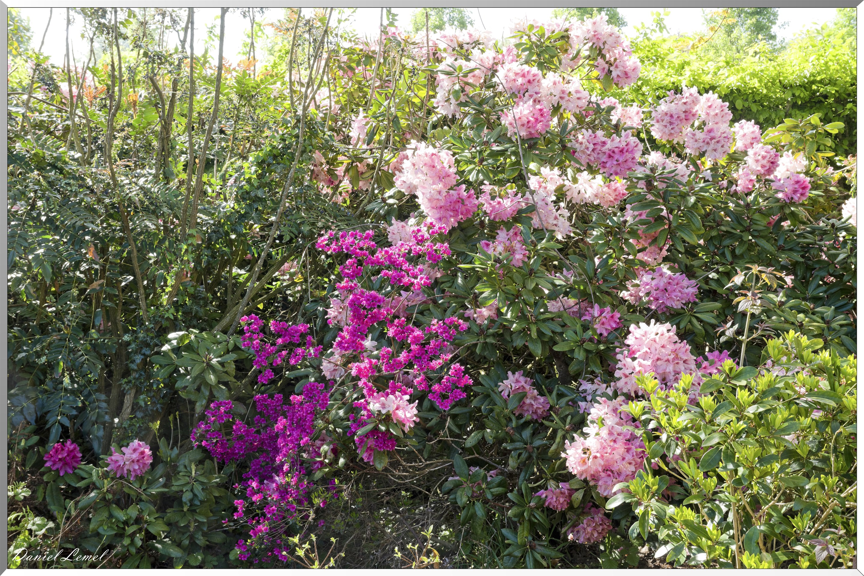 Offranville - Le parc floral William Farcy