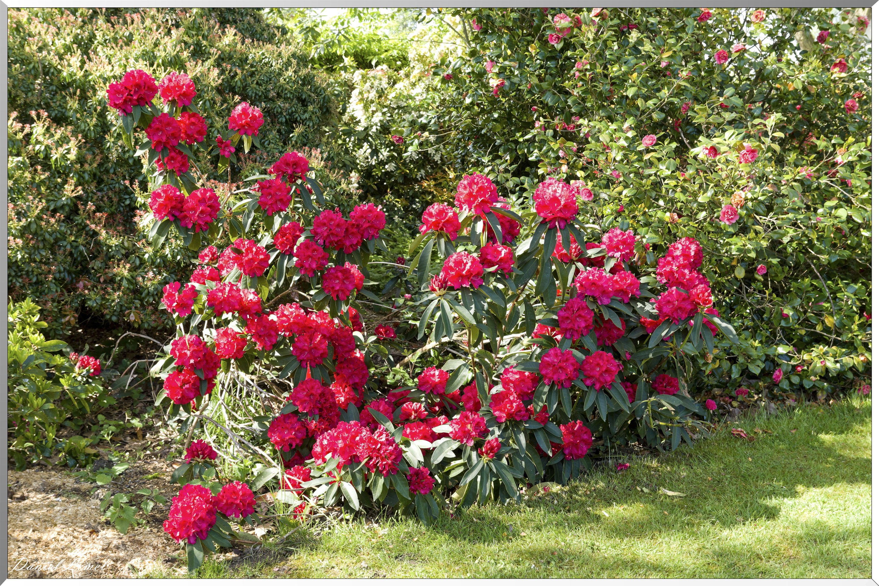 Offranville - Le parc floral William Farcy