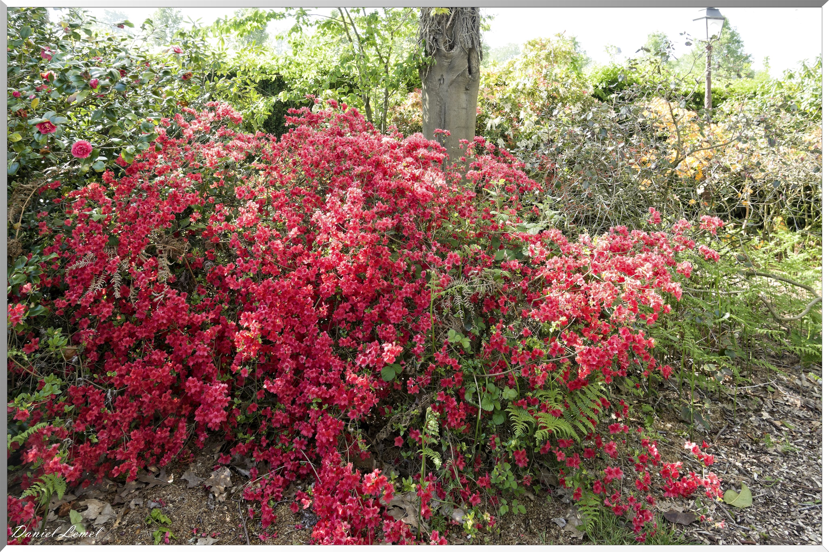 Offranville - Le parc floral William Farcy