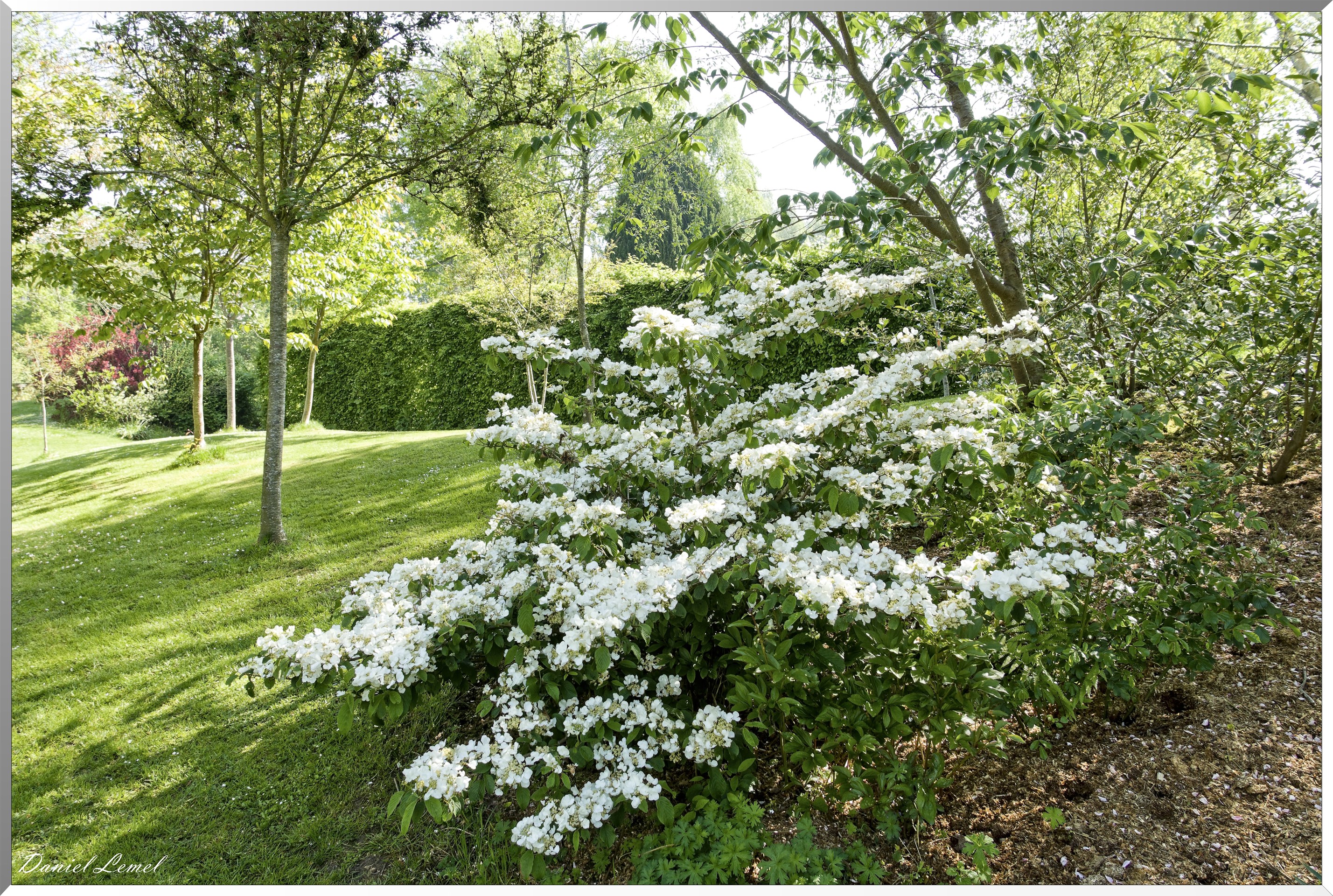 Offranville - Le parc floral William Farcy