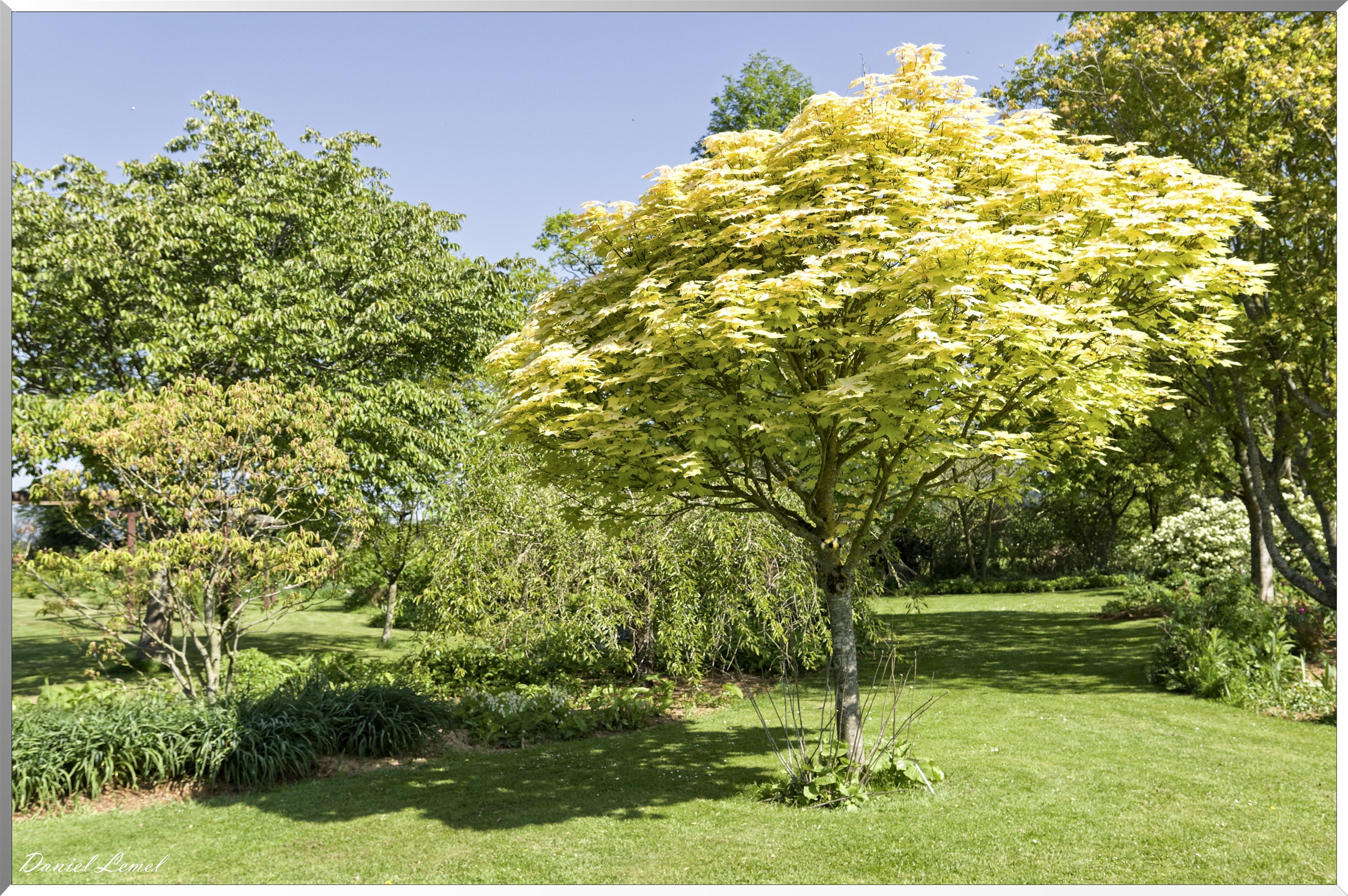 Offranville - Le parc floral William Farcy
