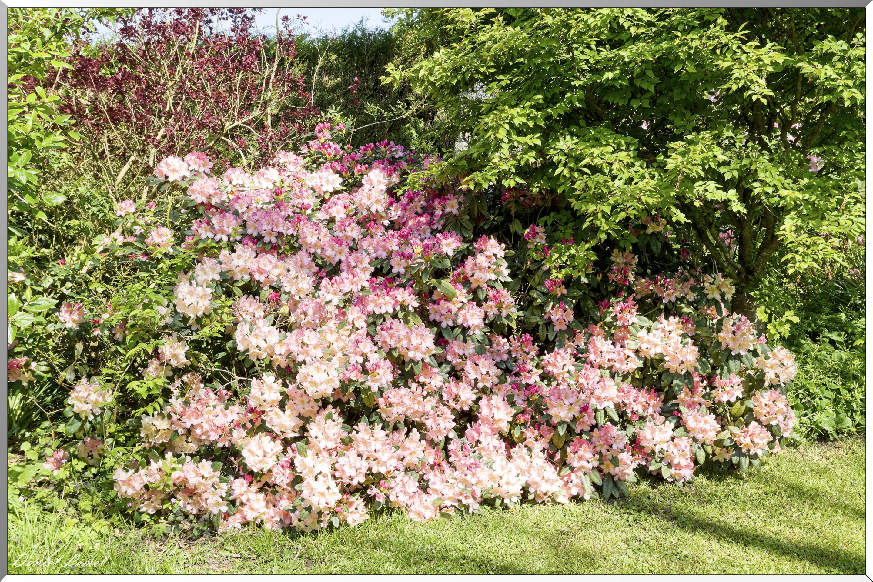 Offranville - Le parc floral William Farcy