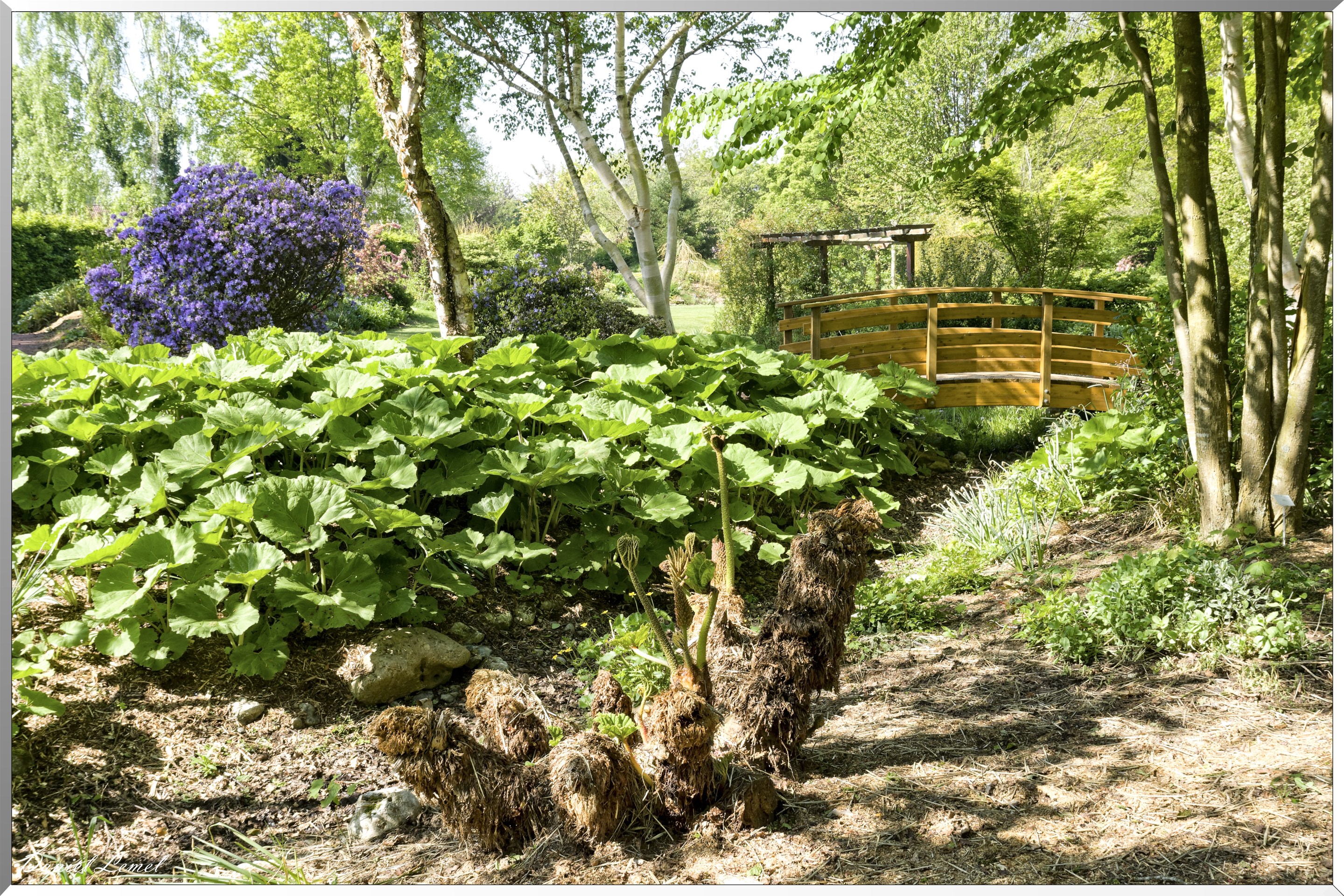 Offranville - Le parc floral William Farcy