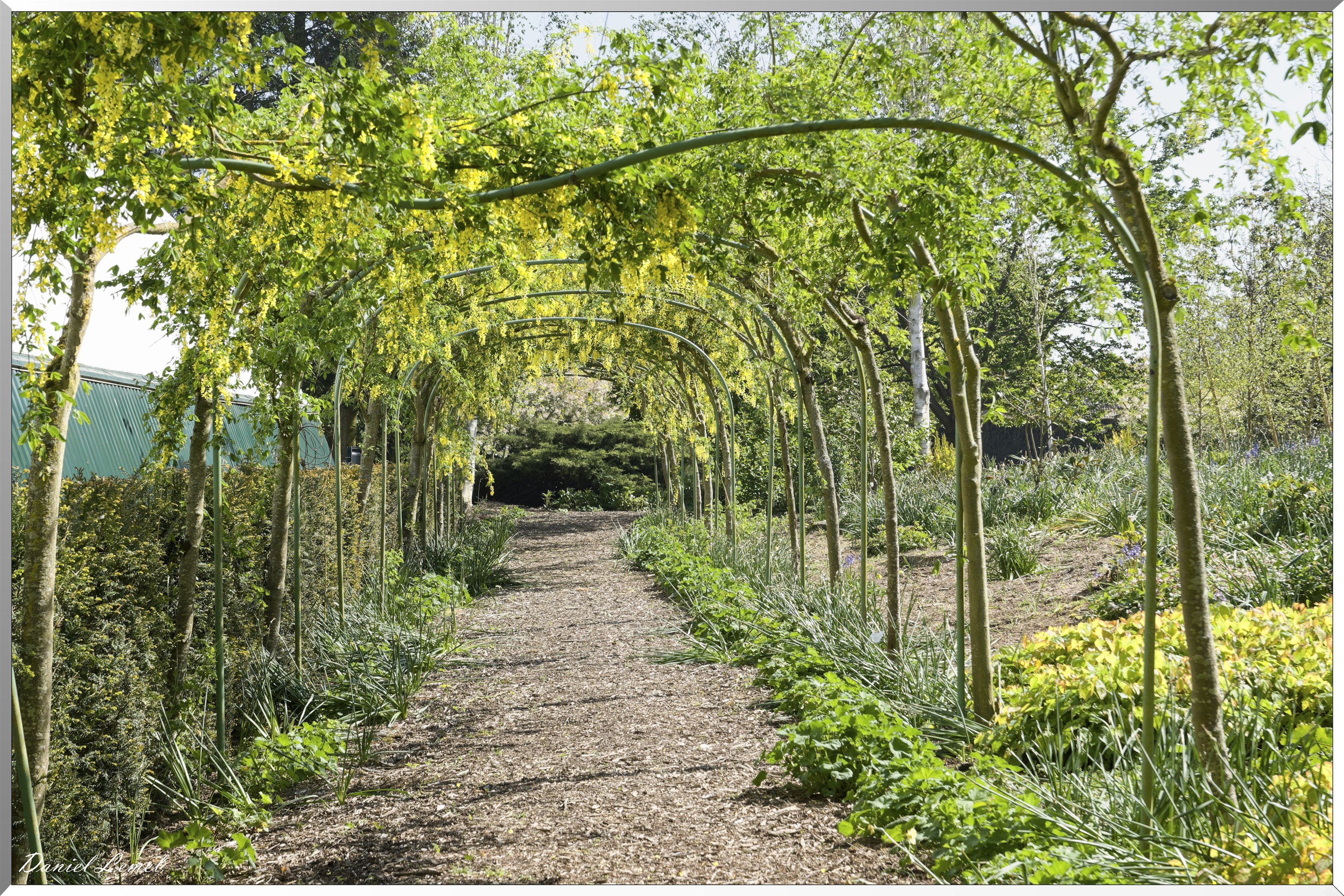 Offranville - Le parc floral William Farcy