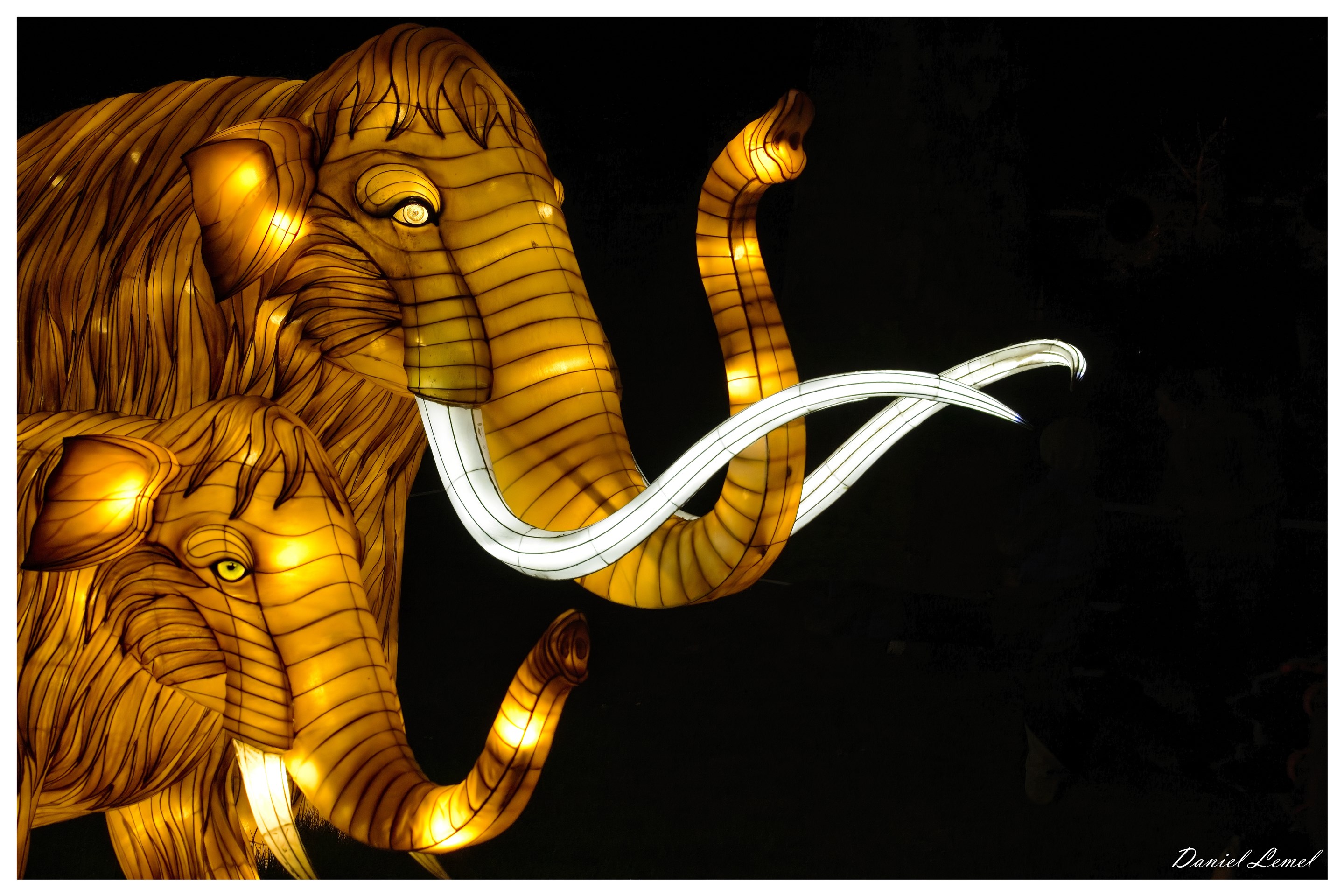  DSC0139W