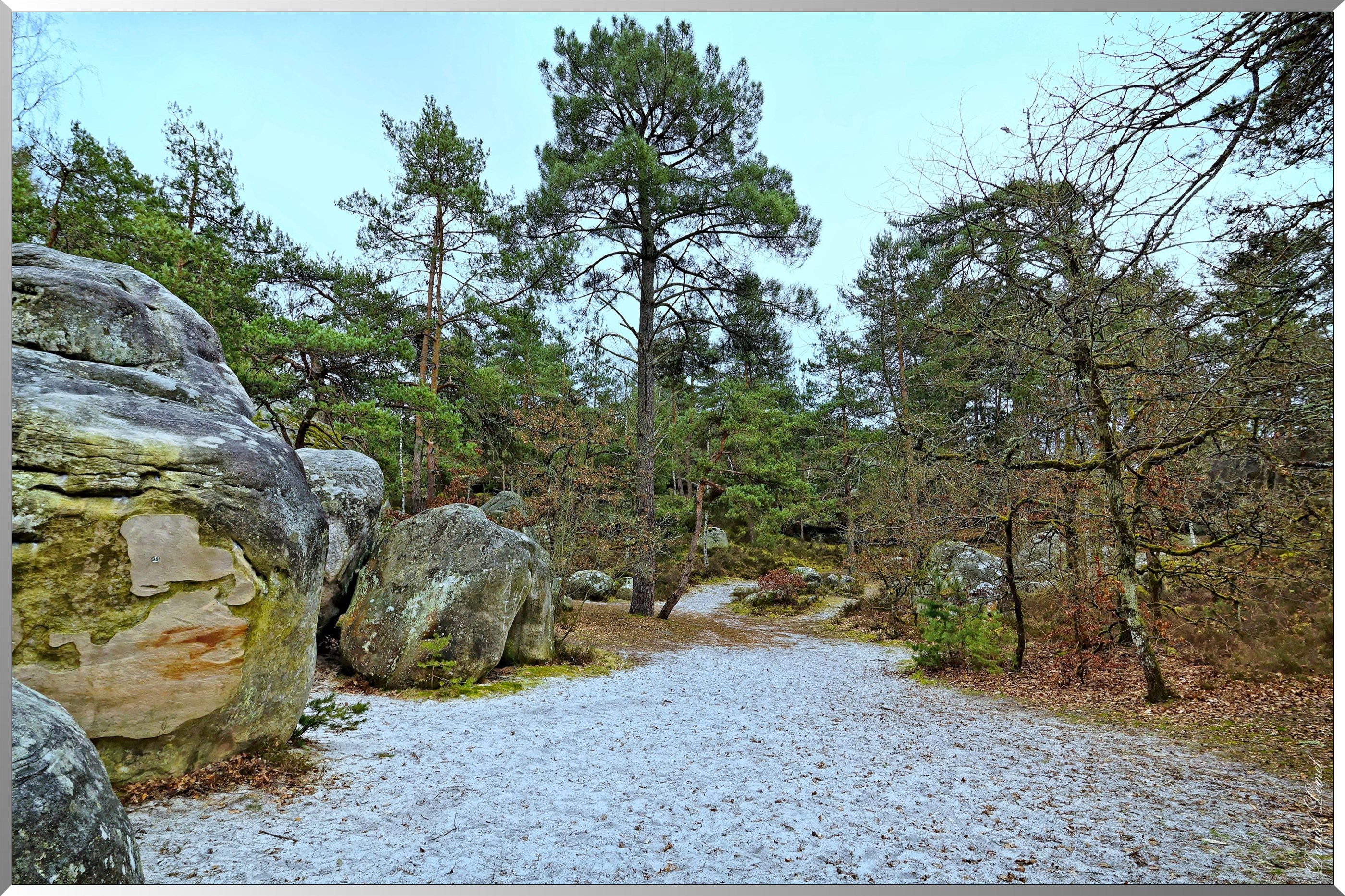 Forêt de Fontainebleau