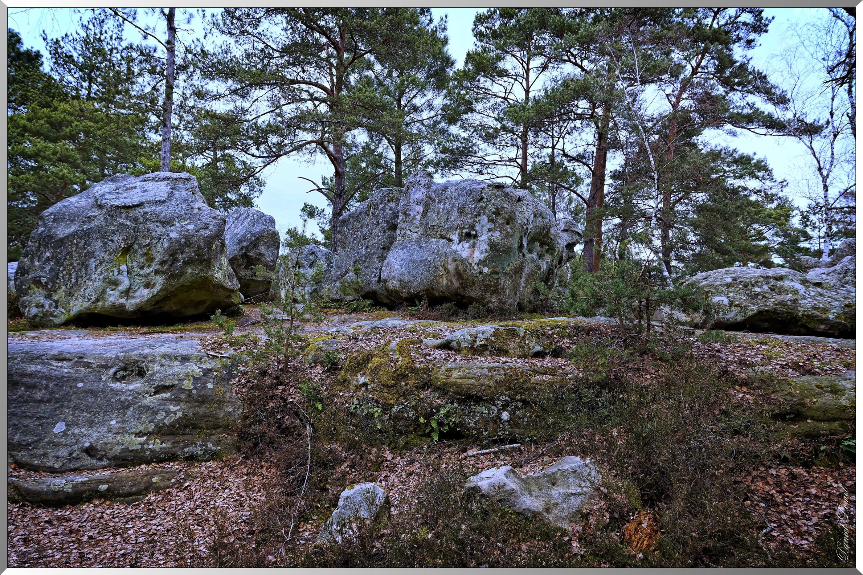 Forêt de Fontainebleau