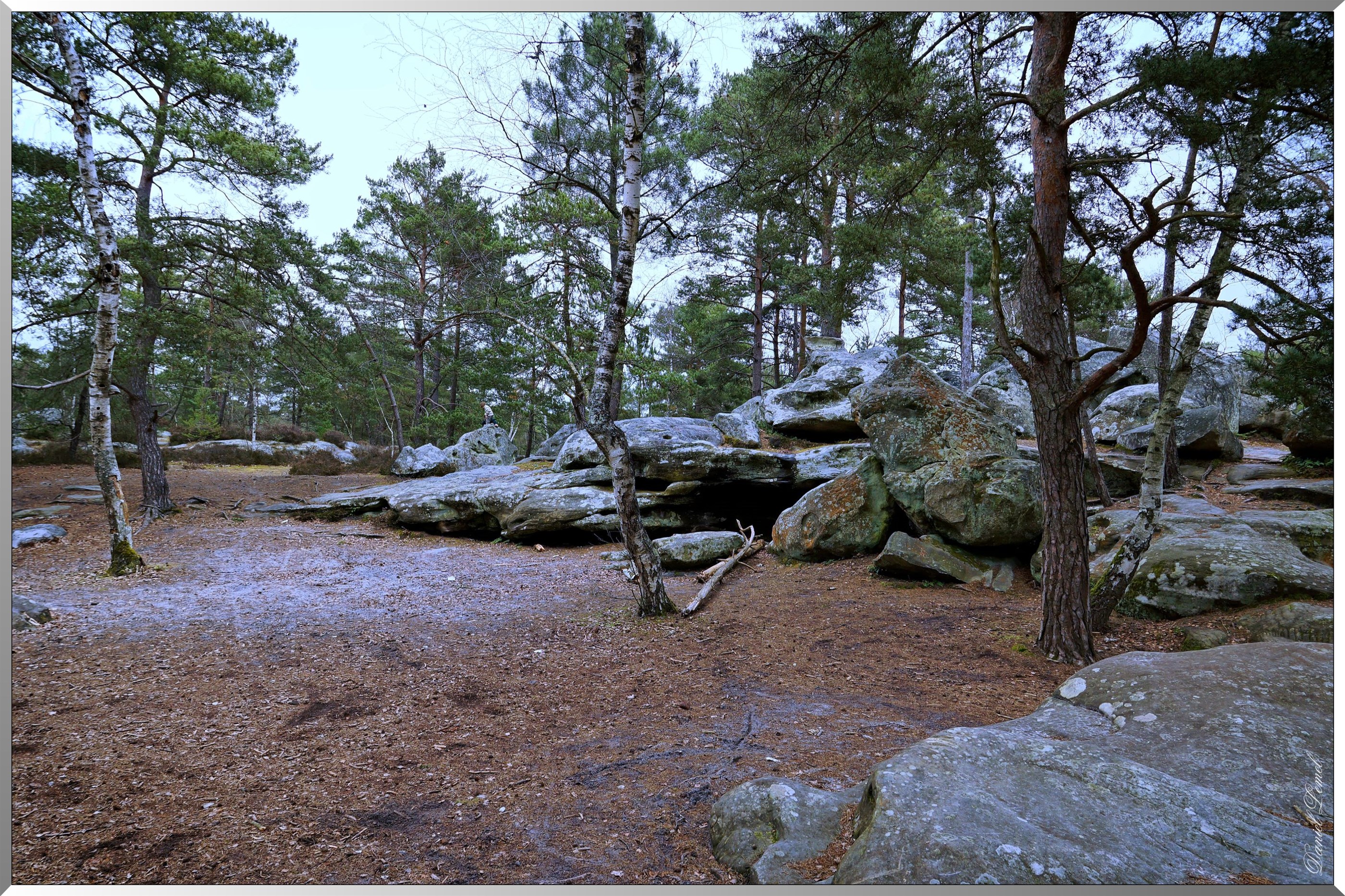 Forêt de Fontainebleau
