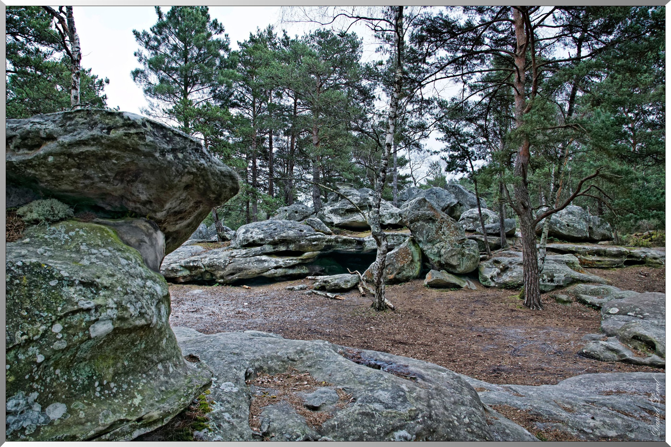 Forêt de Fontainebleau