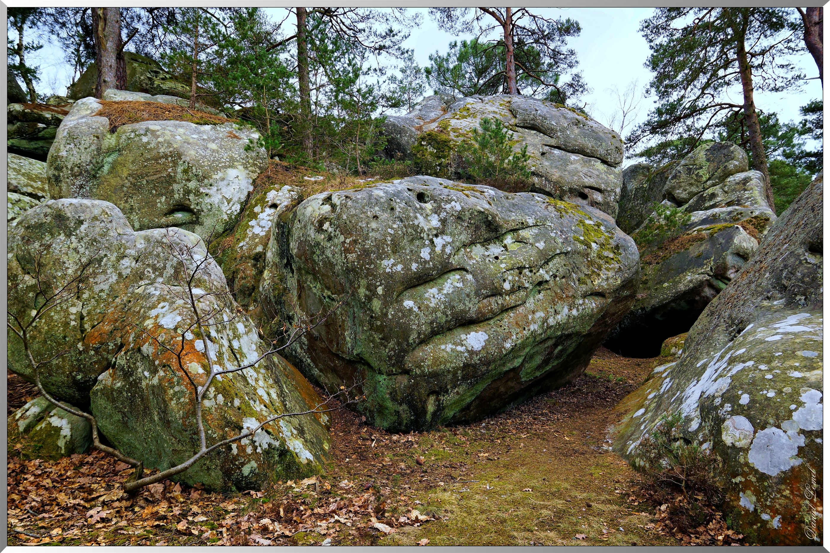 Forêt de Fontainebleau