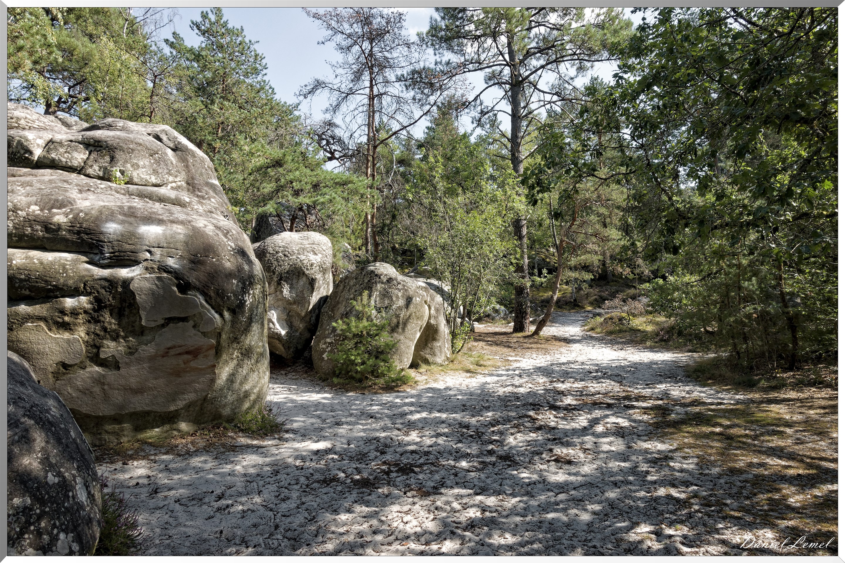 Forêt de Fontainebleau