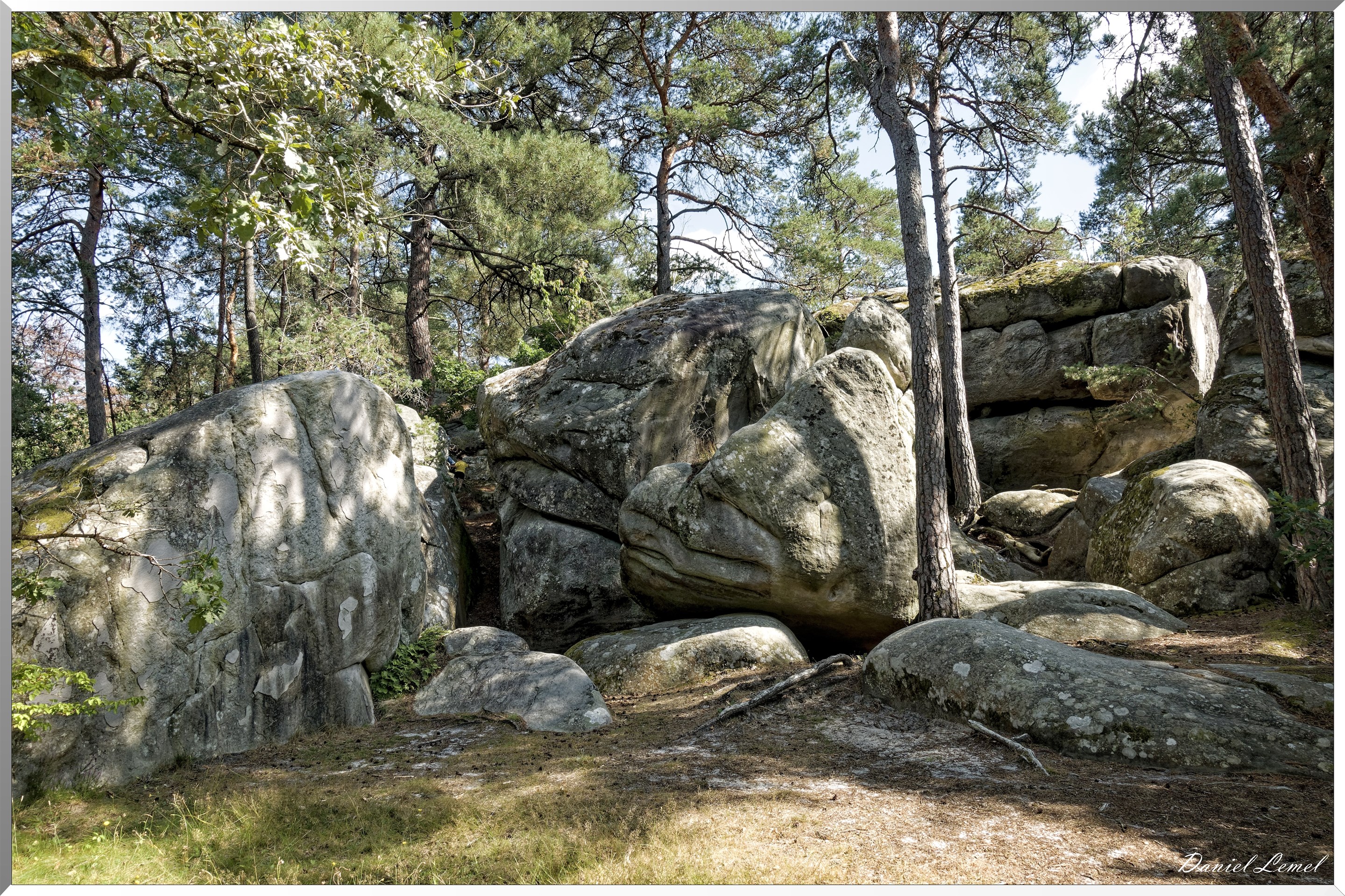Forêt de Fontainebleau